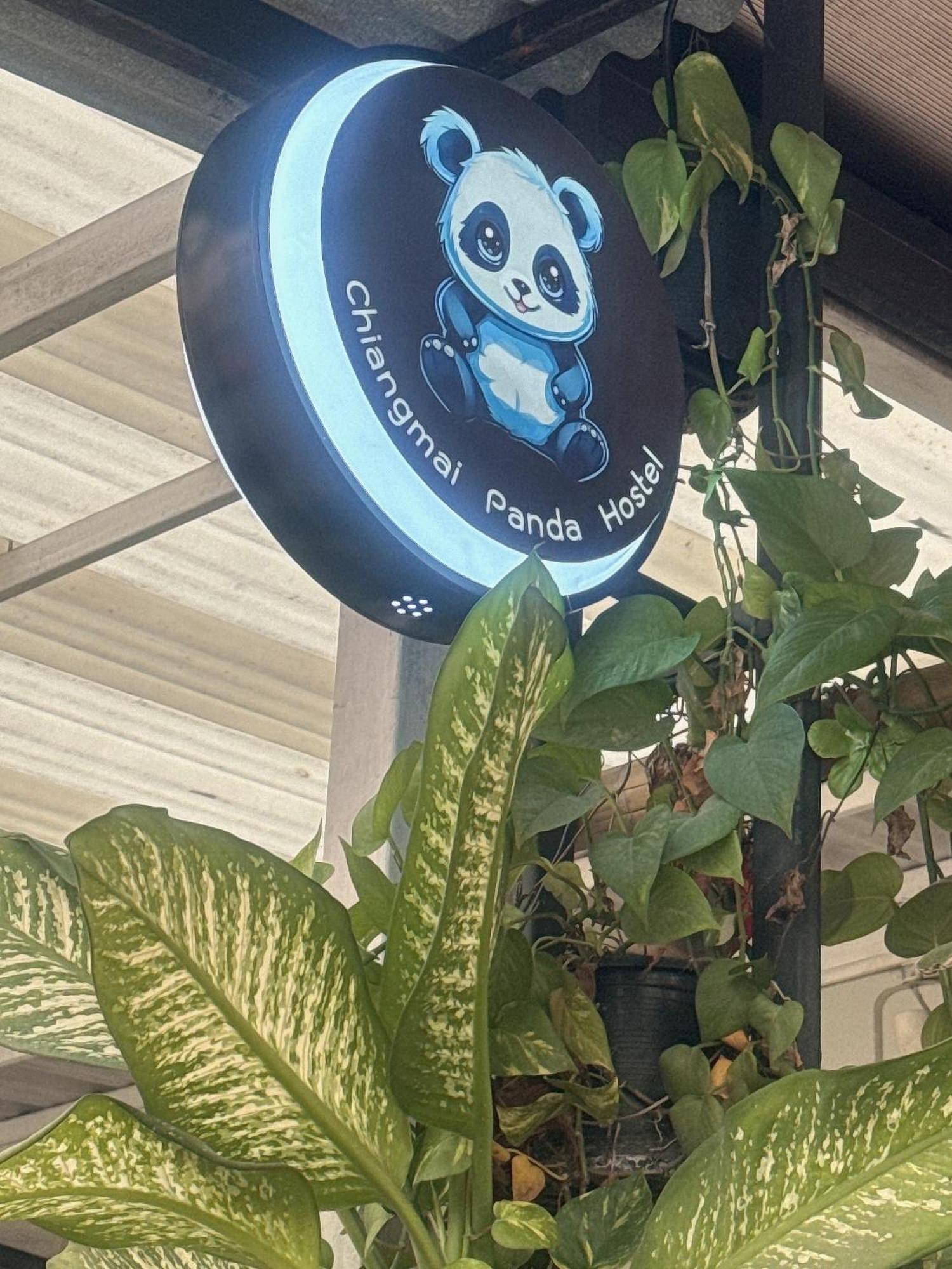 Hostel Panda *