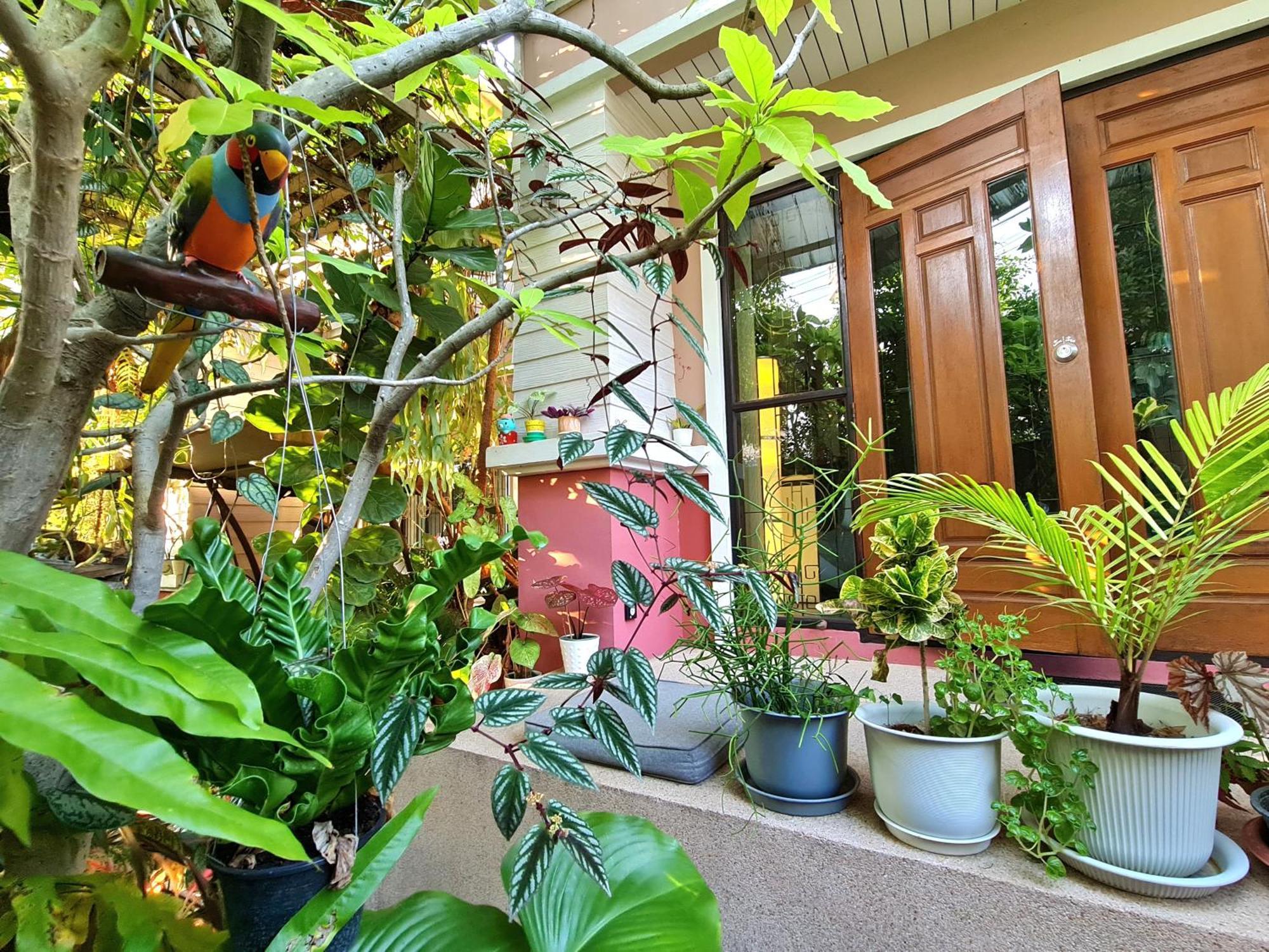 Bed And Terrace