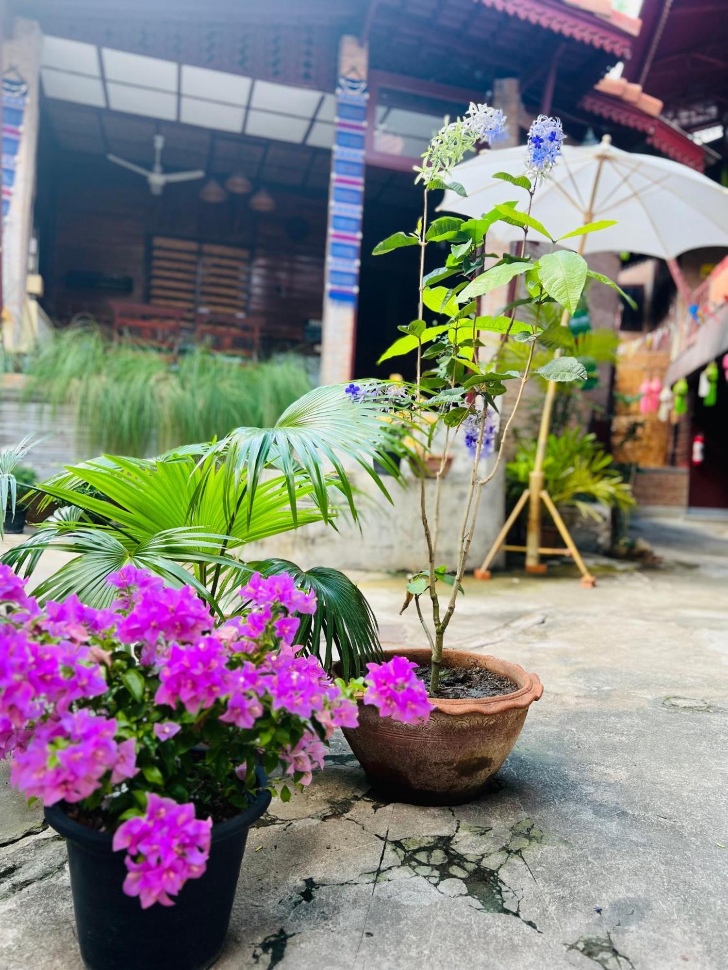 Boutique House Nipha Homestay *