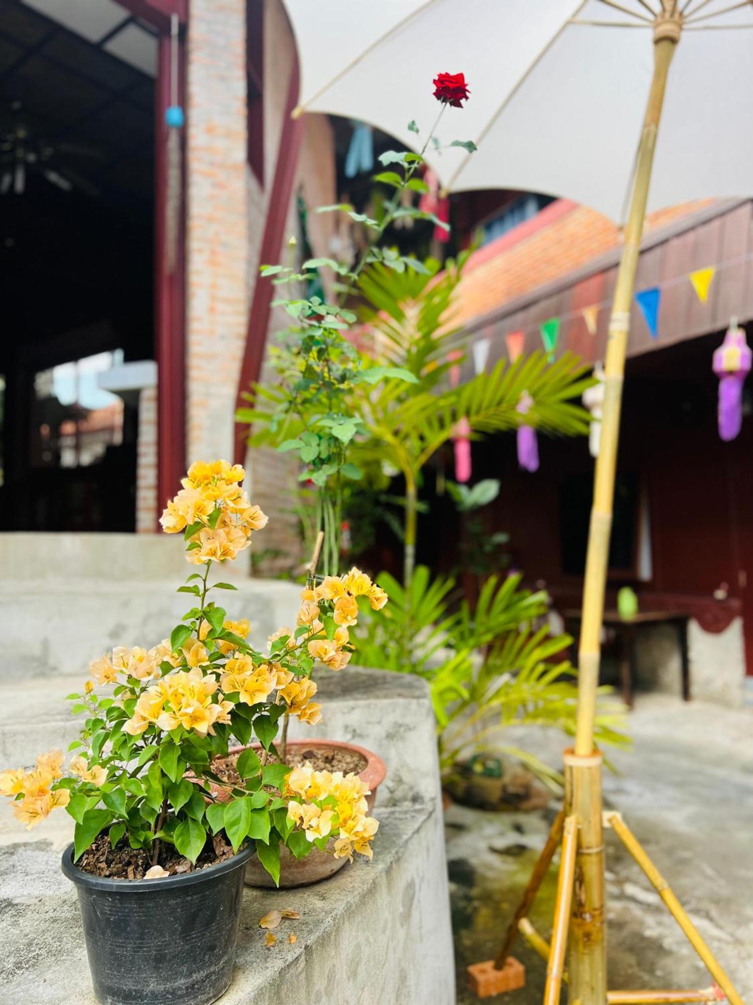 Boutique House Nipha Homestay *