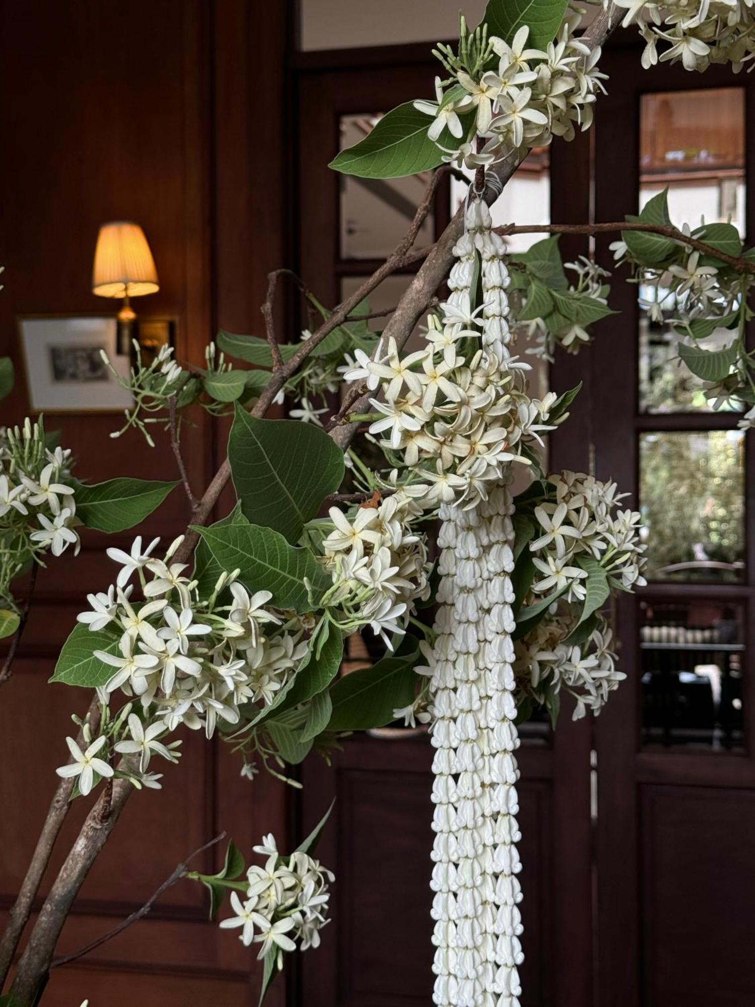Sela Chiangmai 5*