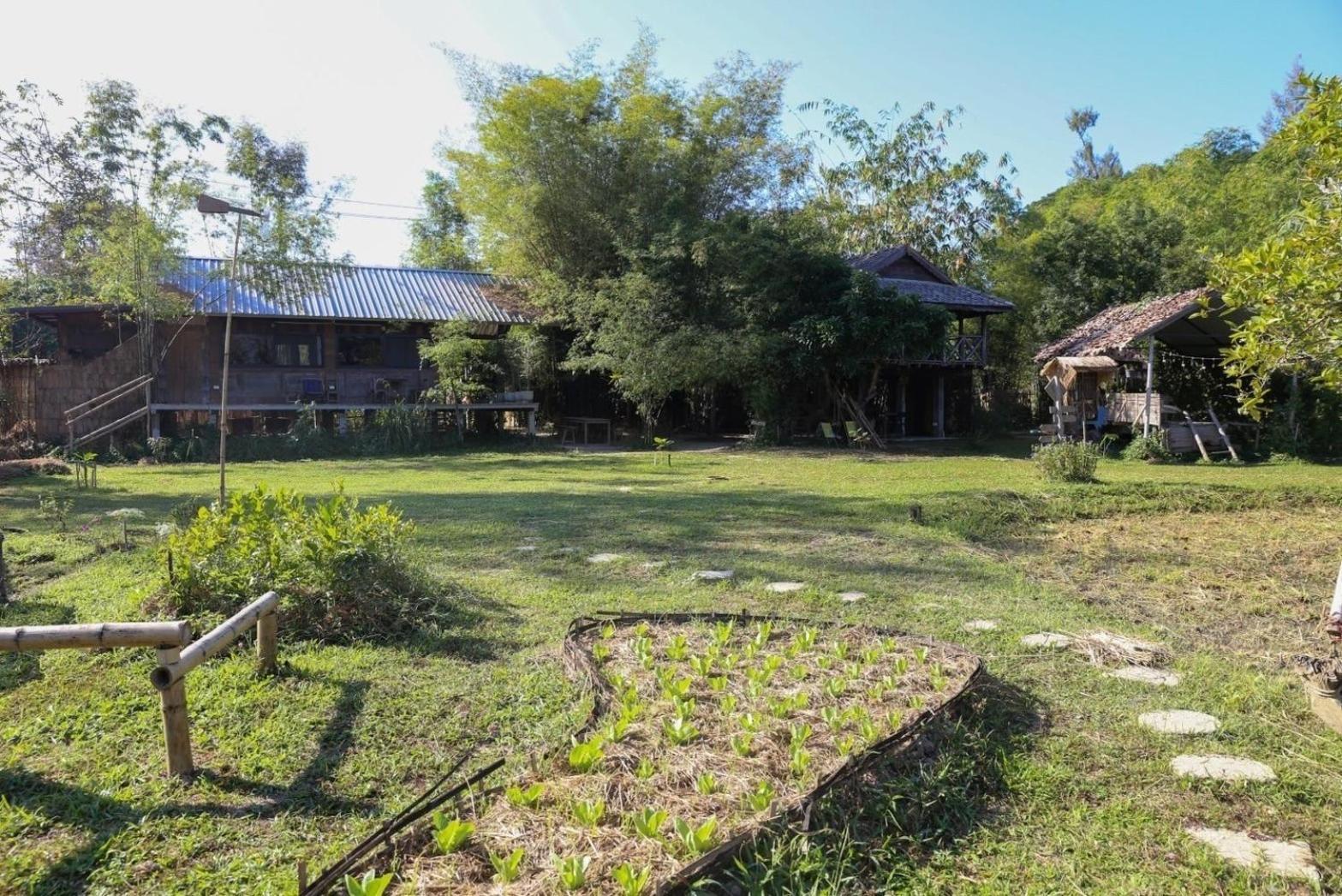 Hang Tueng Farm แฮงตึง * Chiang Mai