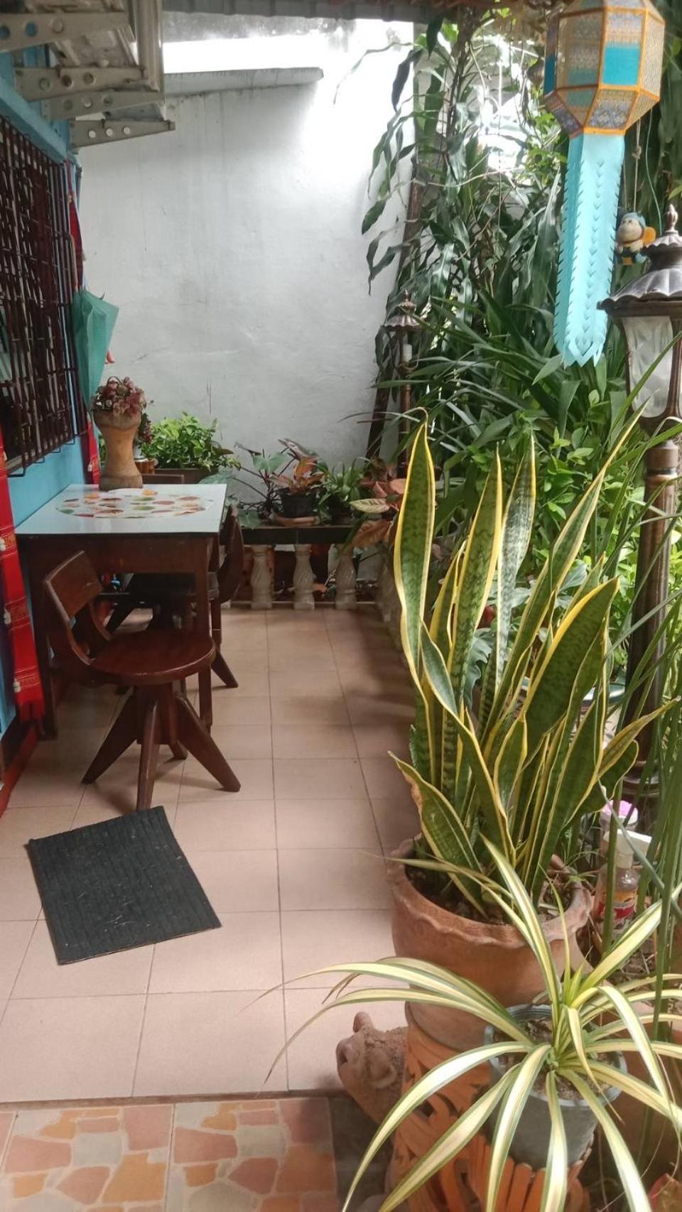 Saithong House Albergue Chiang Mai