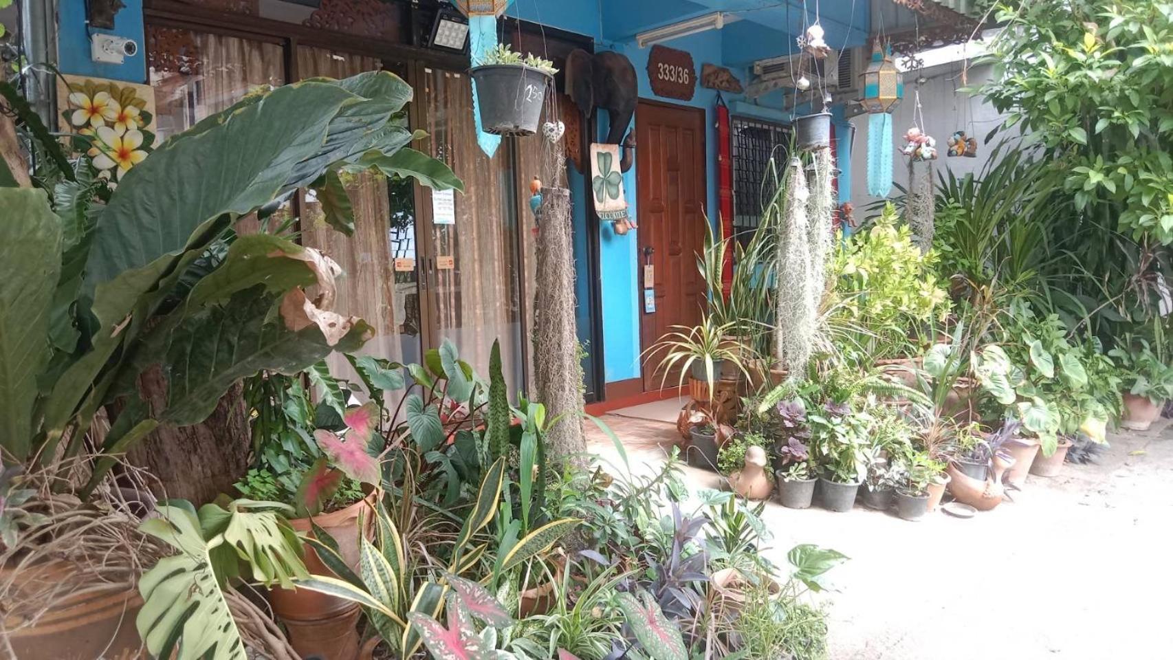 Saithong House Chiang Mai