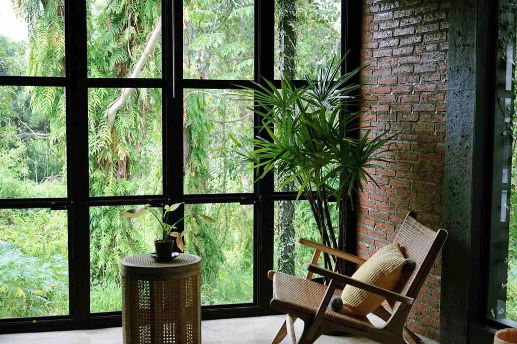 Summer Breeze * Chiang Mai