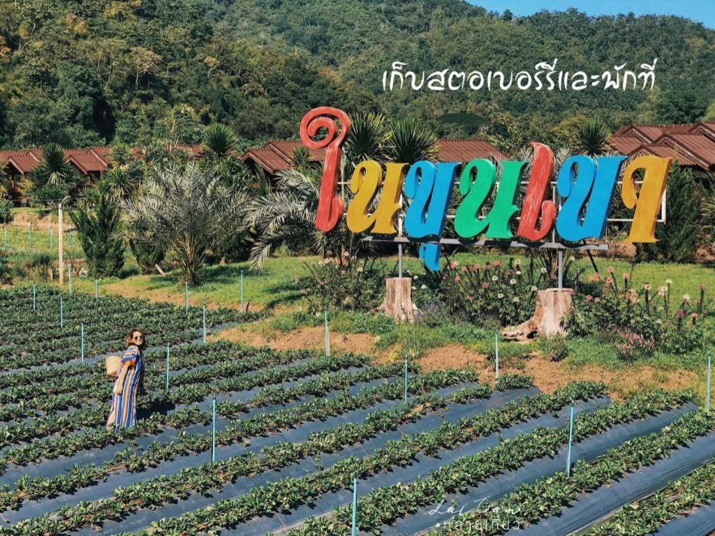 Nai Khun Khao Tempat peranginan Chiang Mai
