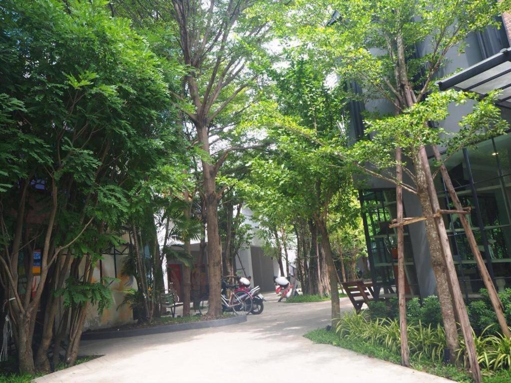 Bb House Chaingmai
