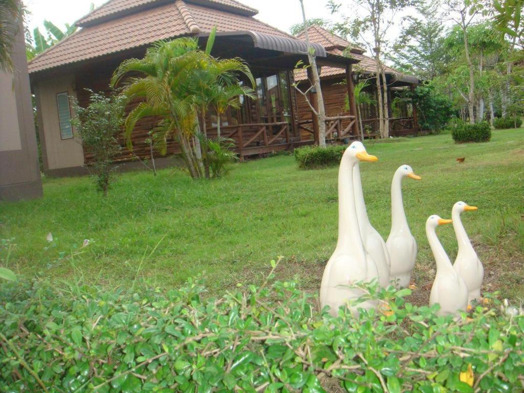 Lodge Indie House @ Maerim Chiang Mai