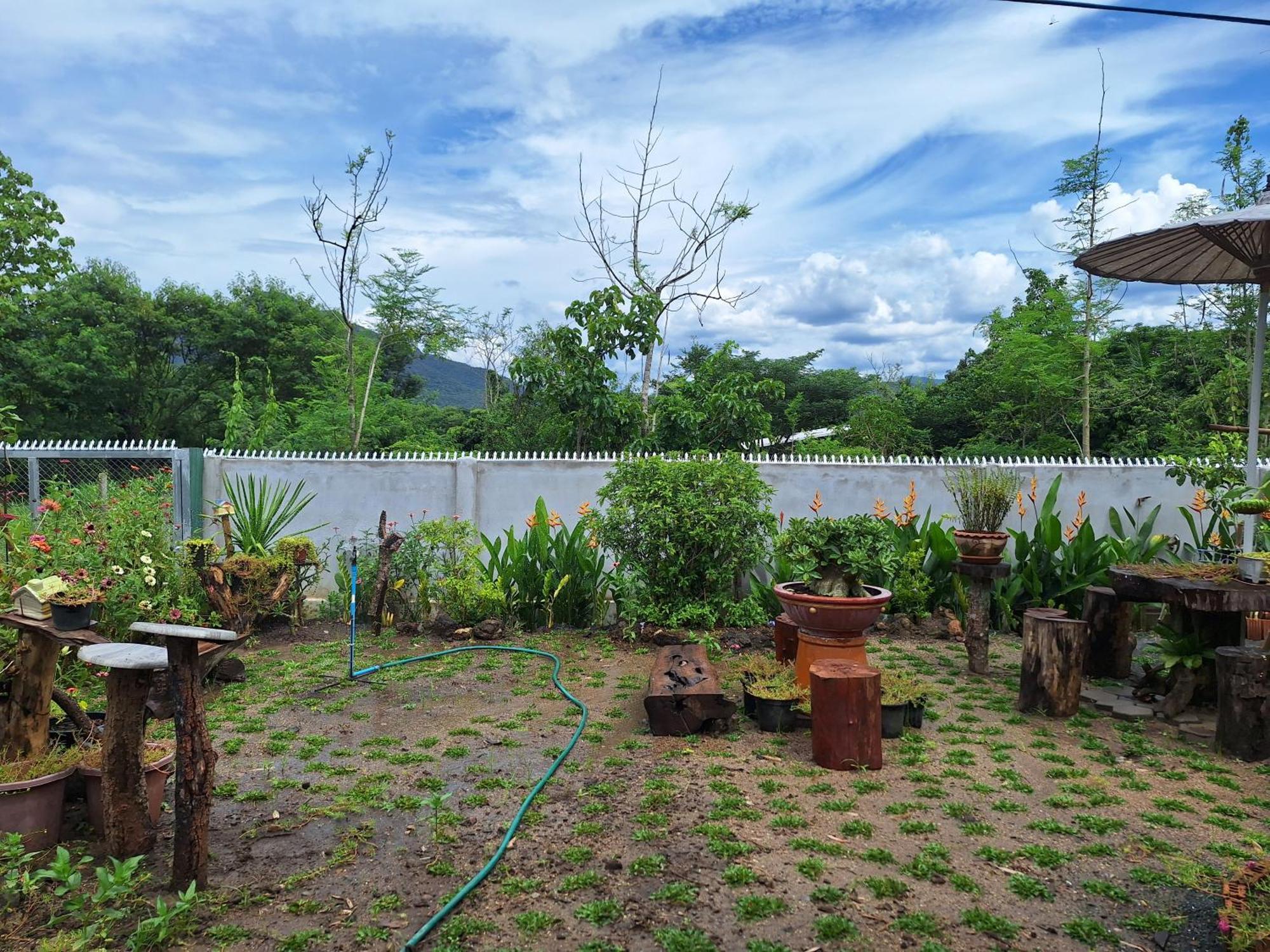 Homestay Lala's House@mae On *