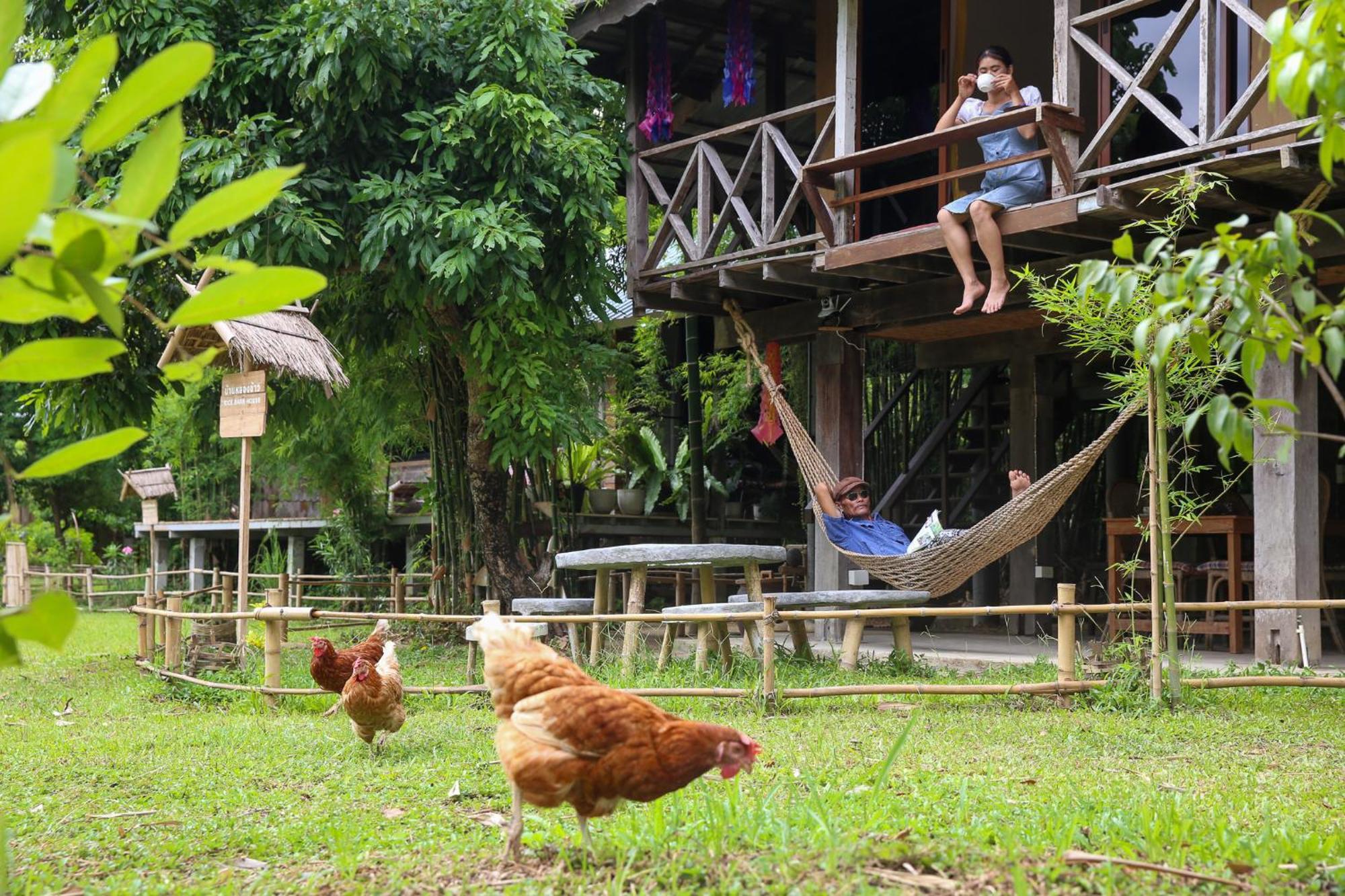 Hang Tueng Farm แฮงตึง Holiday home Chiang Mai