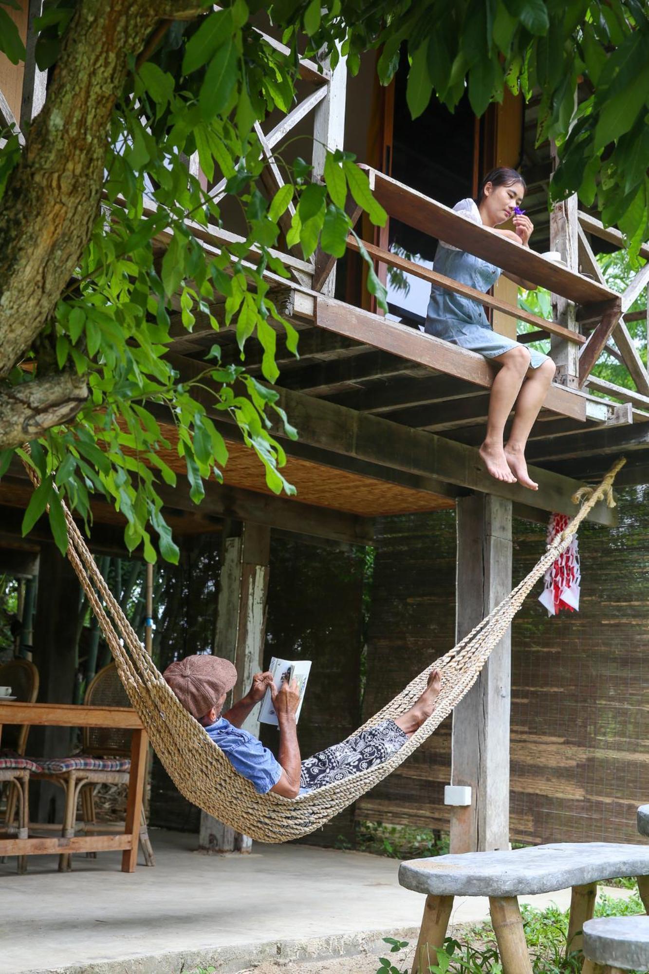 Hang Tueng Farm แฮงตึง Chiang Mai