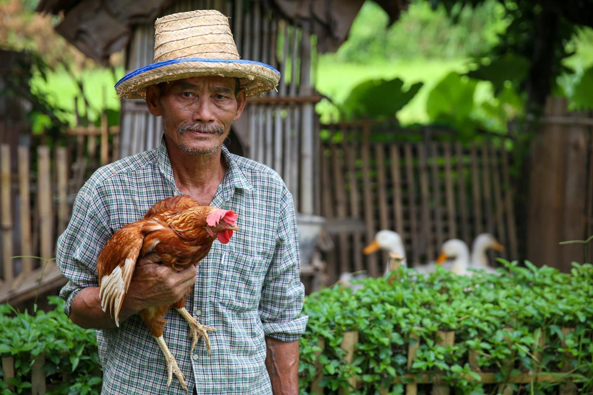 Hang Tueng Farm แฮงตึง Holiday home Chiang Mai