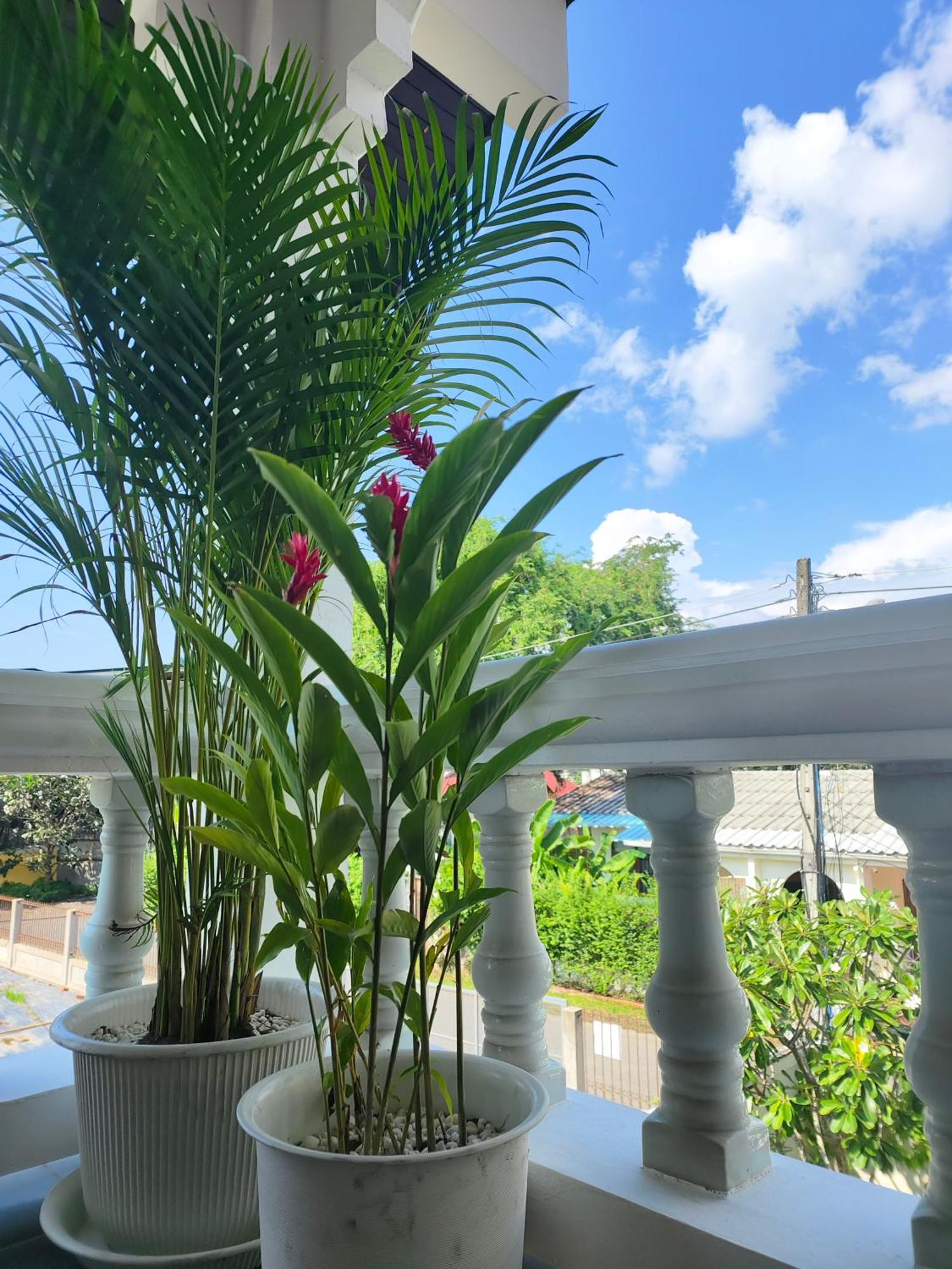 Dalang Nimman House宁曼路独栋四卧四卫别墅 *