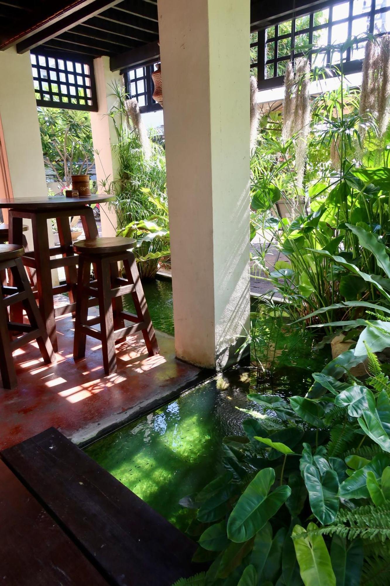 Casa de hóspedes Banjai Garden *