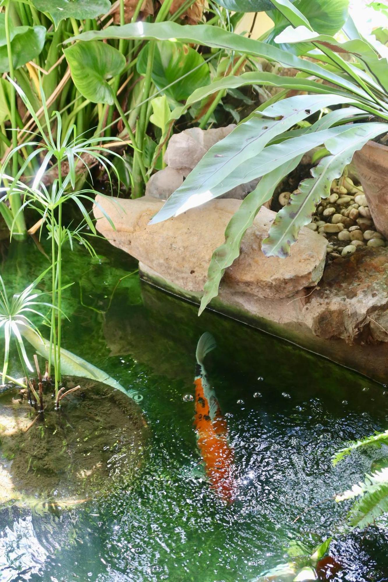 Casa de hóspedes Banjai Garden Chiang Mai