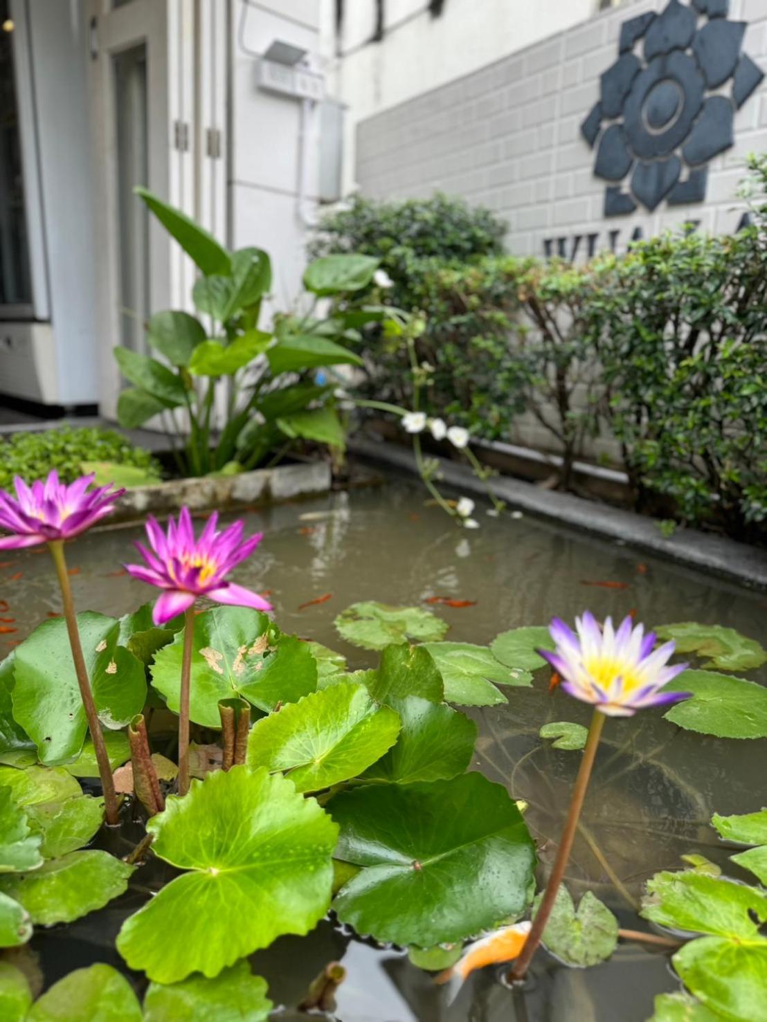 Hotel Wua Lai Boutique Chiang Mai