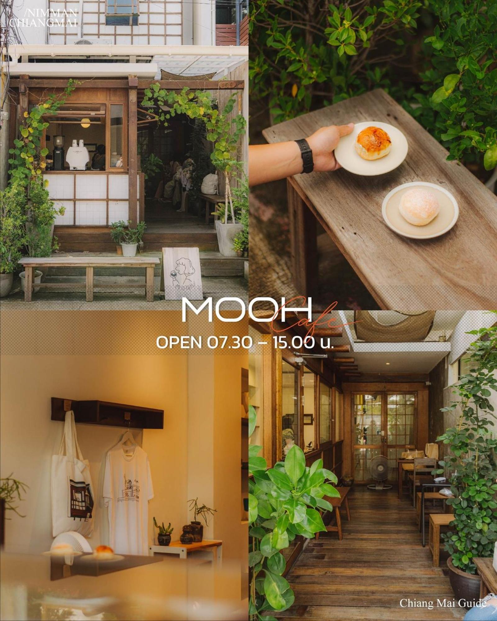 Hello Host * Chiang Mai