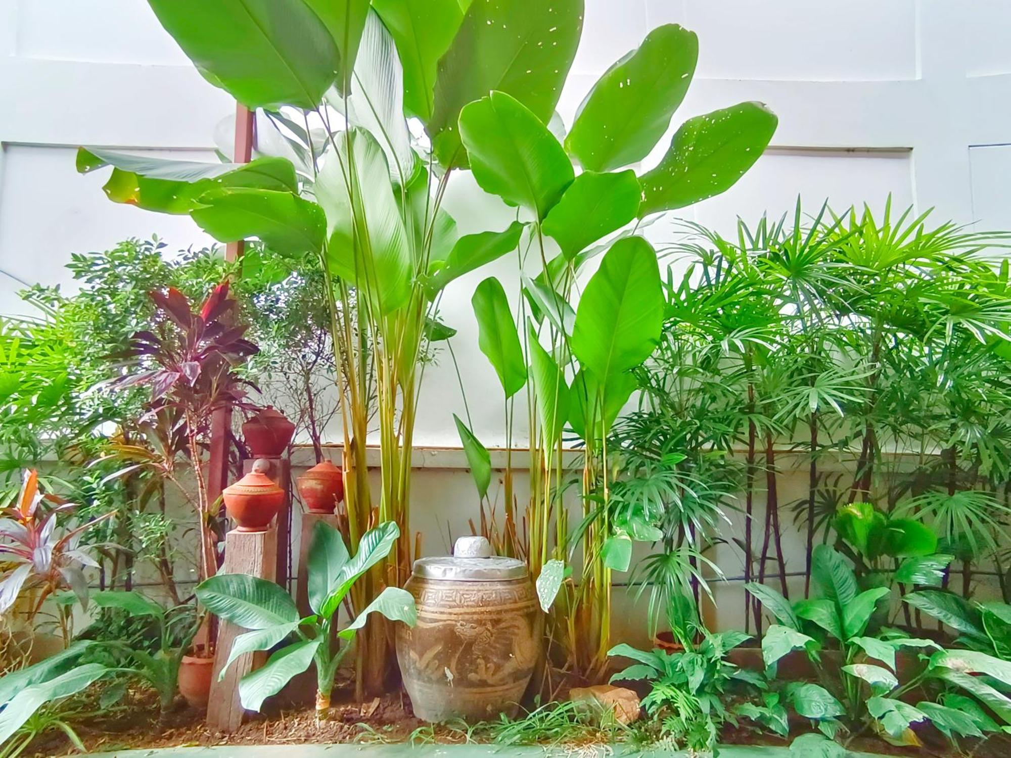 Aphilapa