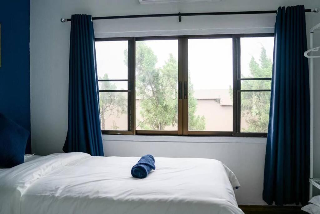 Apartment Windsor Garden House