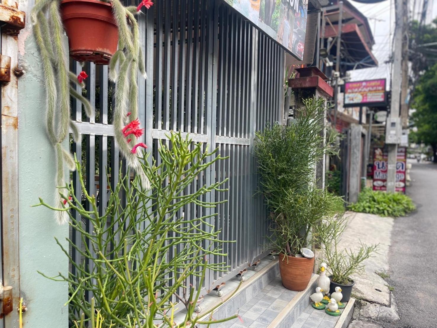 Minimal 2 * Chiang Mai