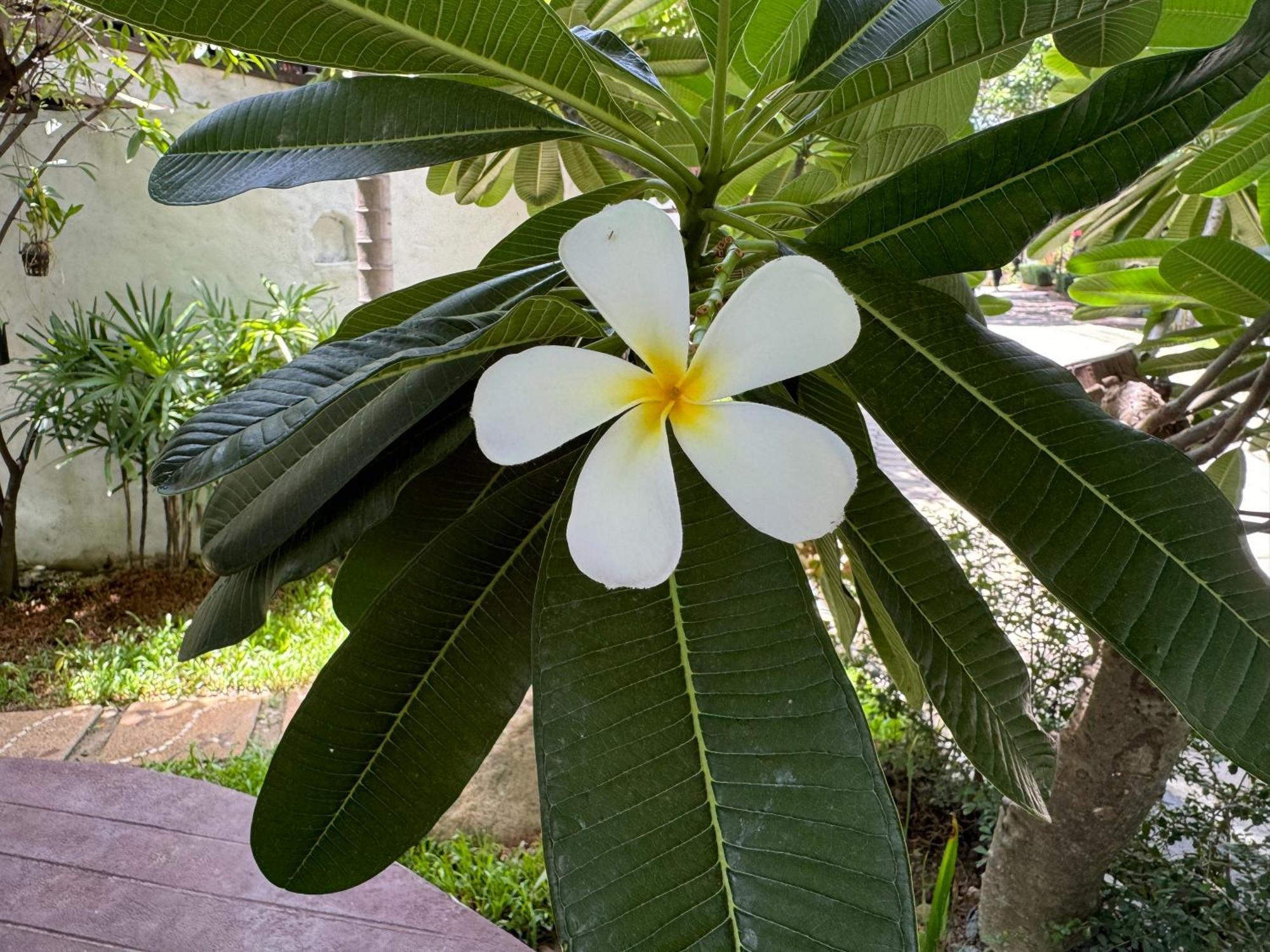 Orquideas Hotel 4*