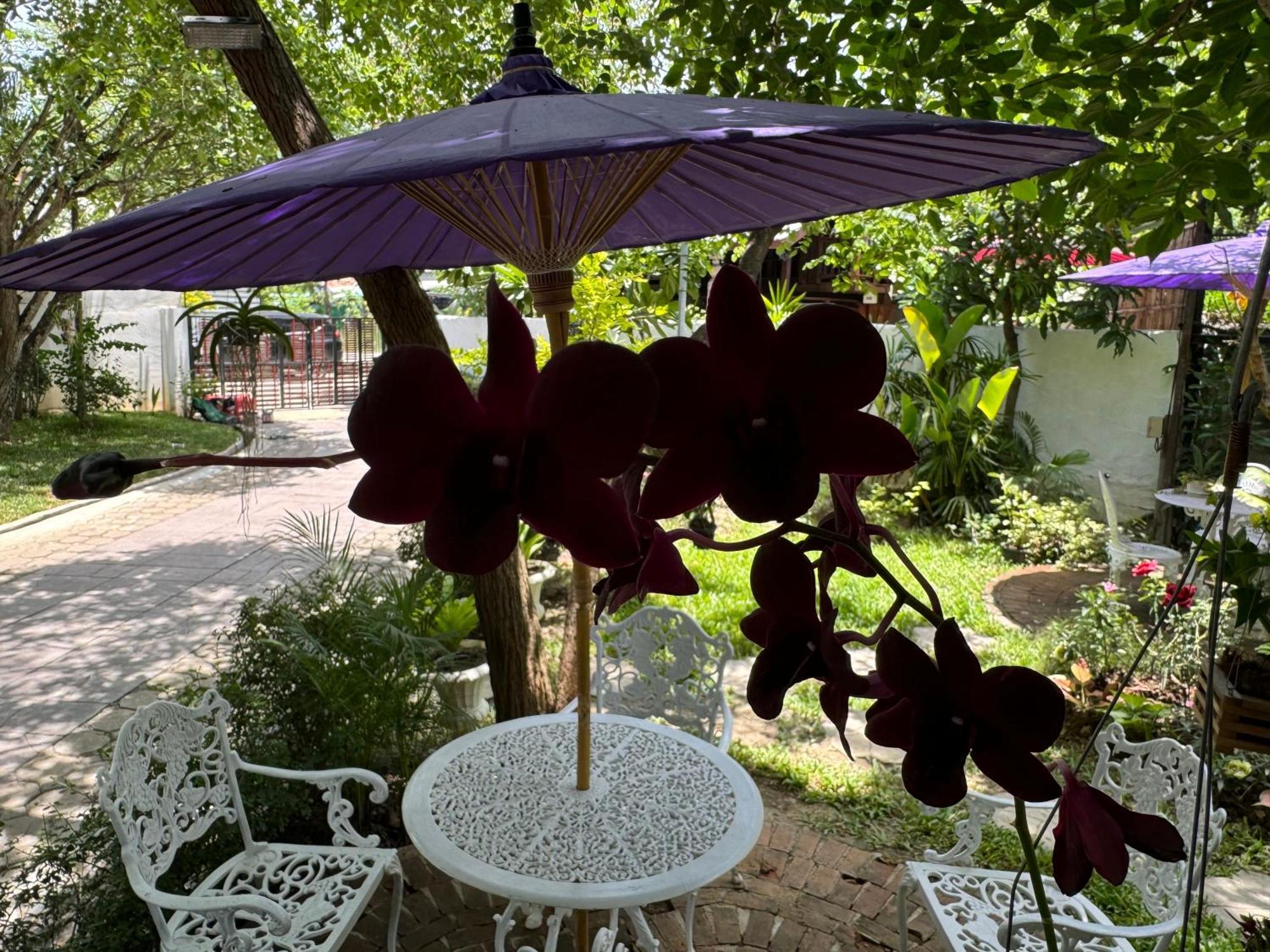 Orquideas 4* Chiang Mai