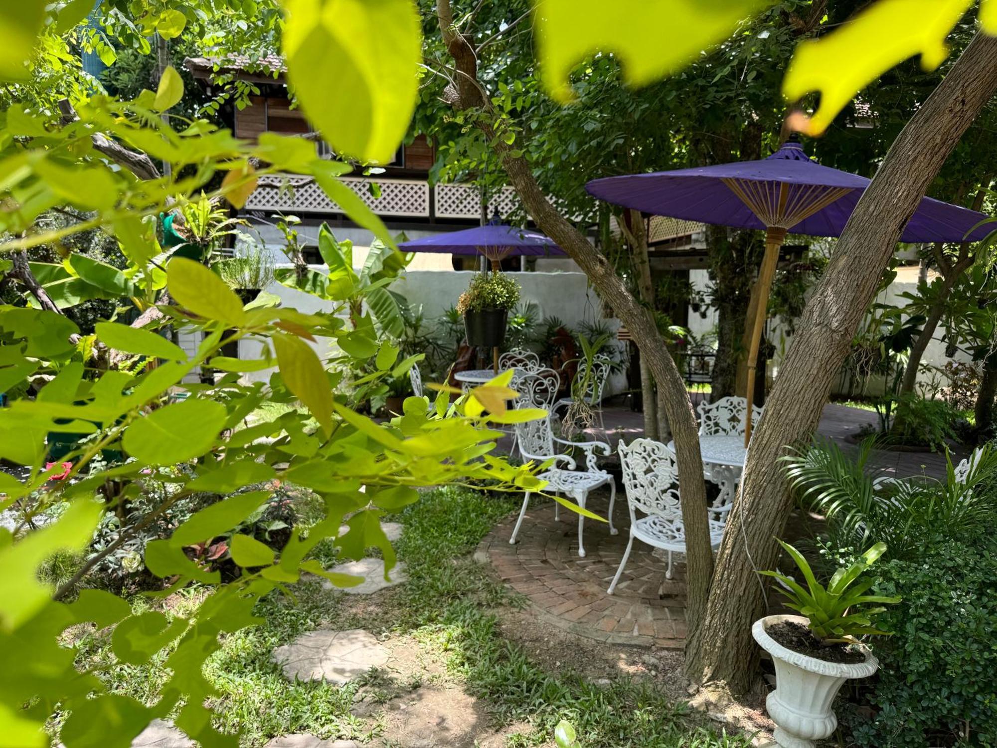 Orquideas Hotel