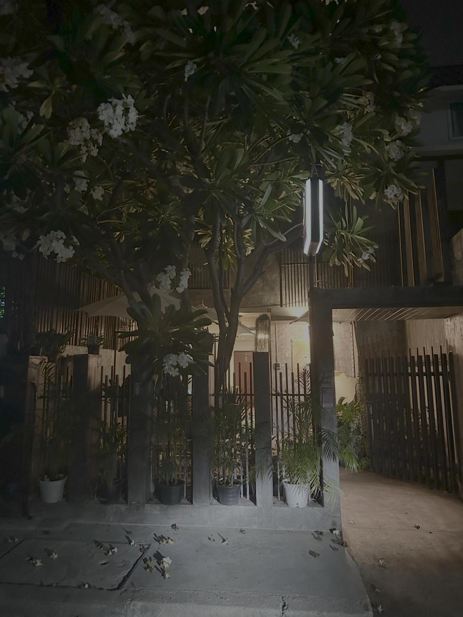 Guest house Moonlight 2*