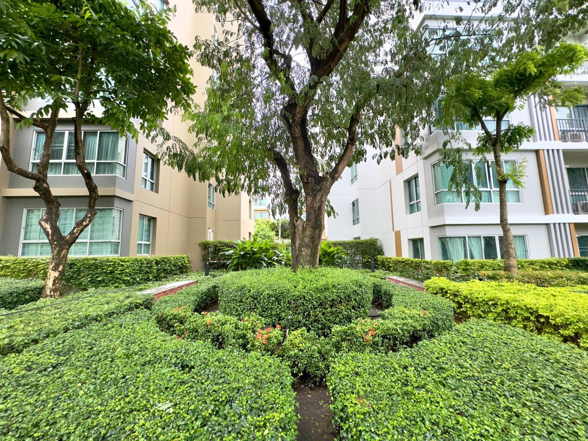 Dcondo Is Next To The Mall Chiang Mai