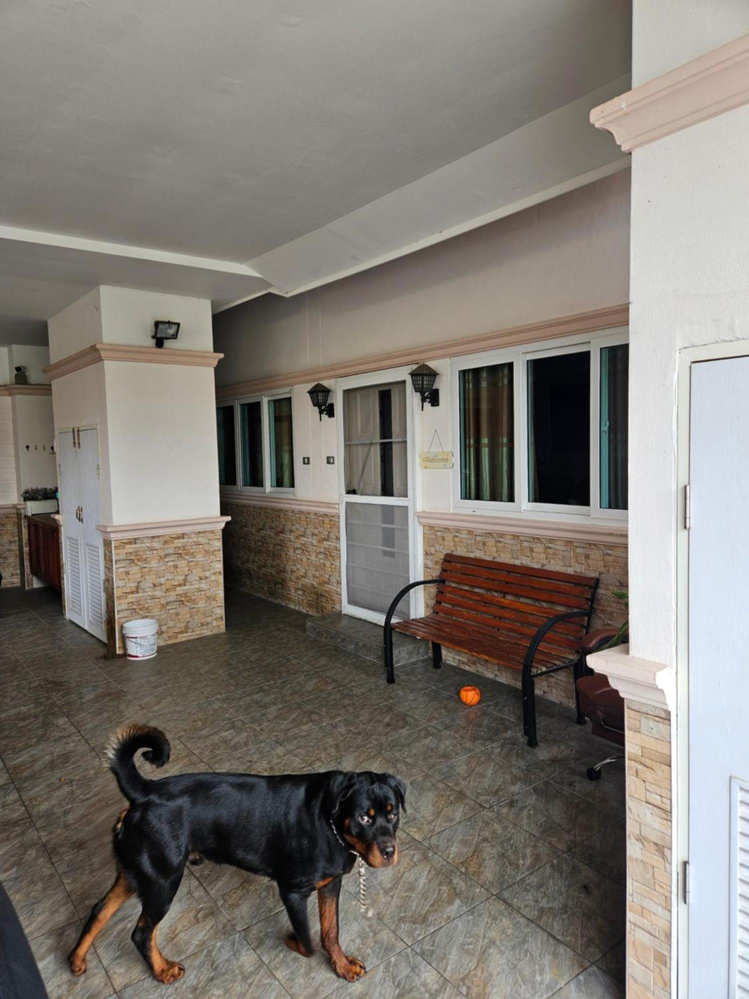 Villa Separate House With Swimming Pool