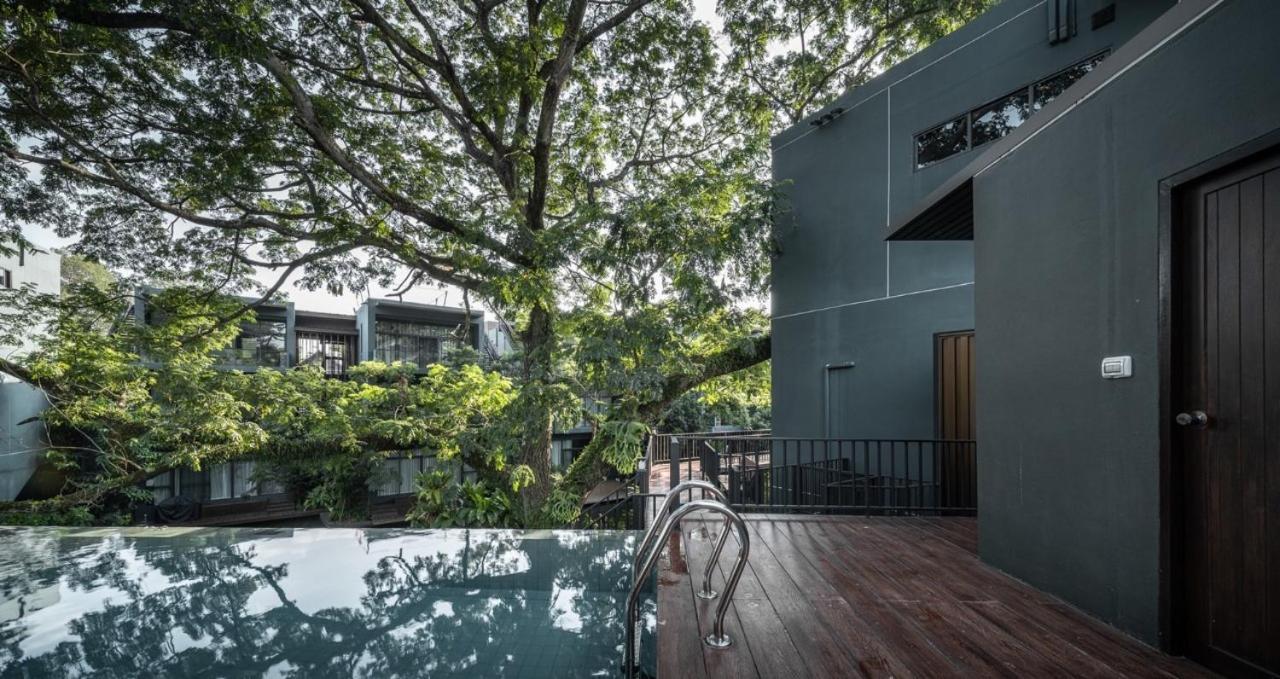 Cayla Private * Chiang Mai