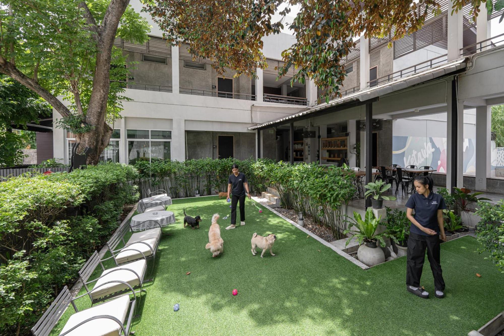 Ketawa Pet Friendly 4* Chiang Mai