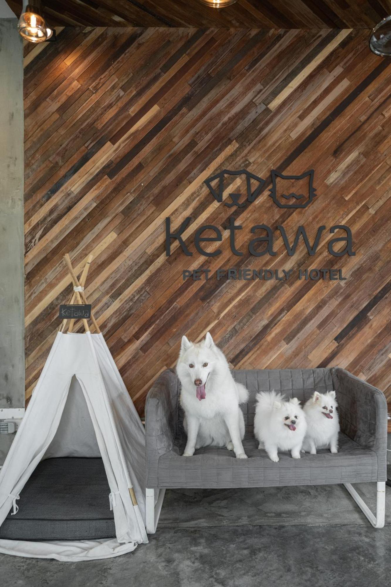 Ketawa Pet Friendly Hotel 4*