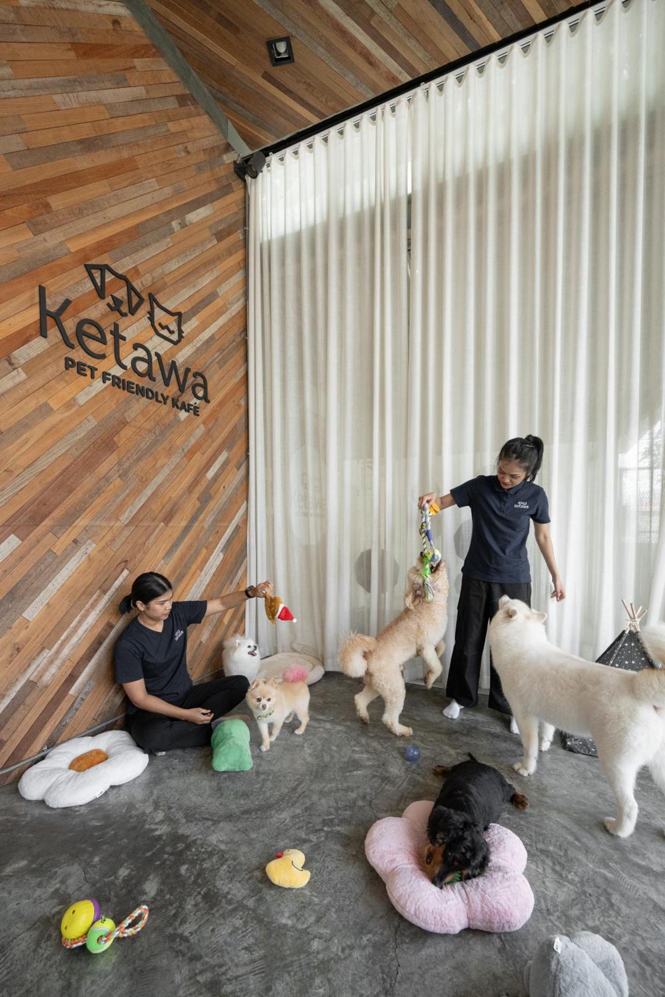Hotel Ketawa Pet Friendly 4*