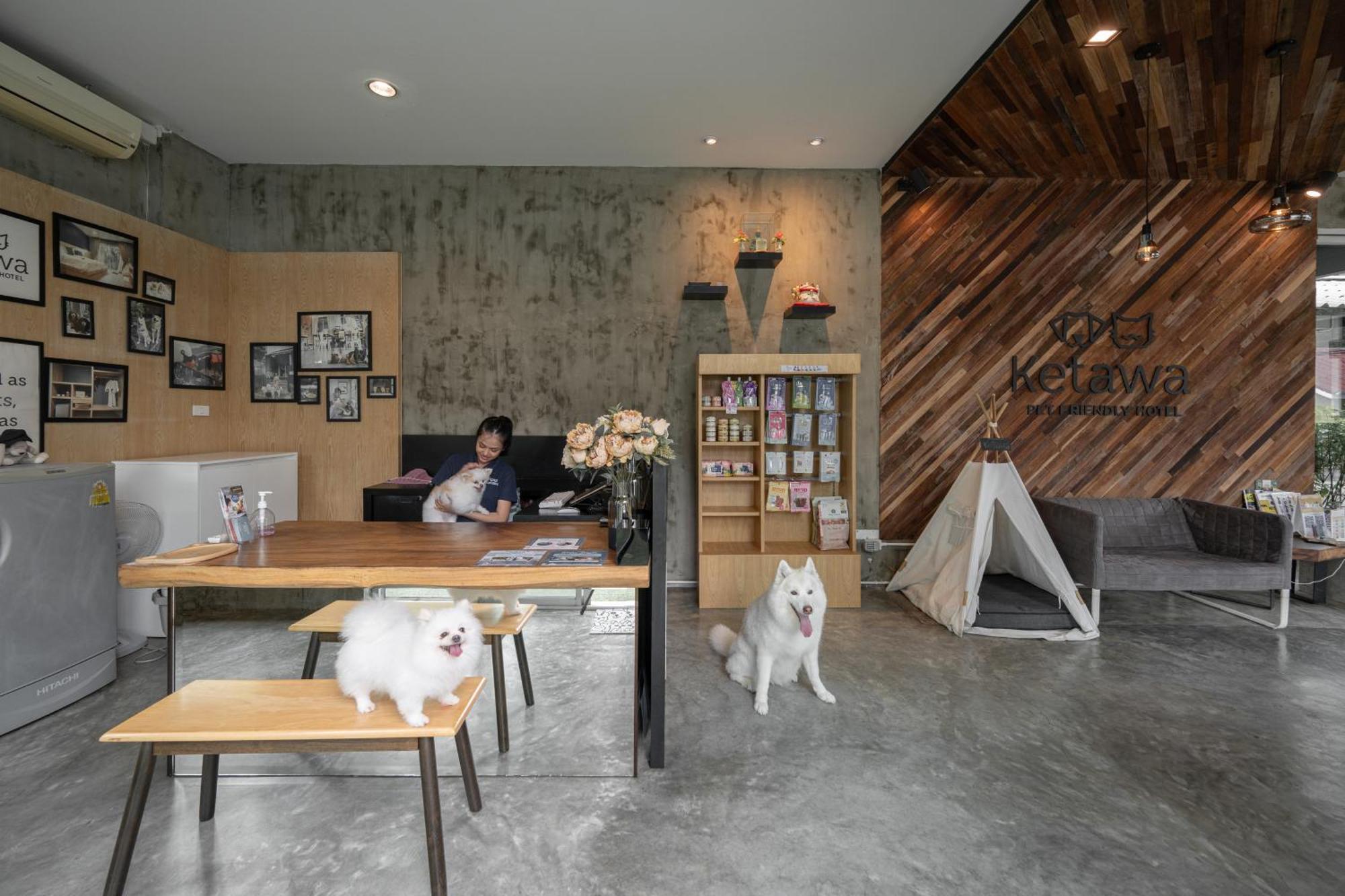 Hotel Ketawa Pet Friendly Chiang Mai