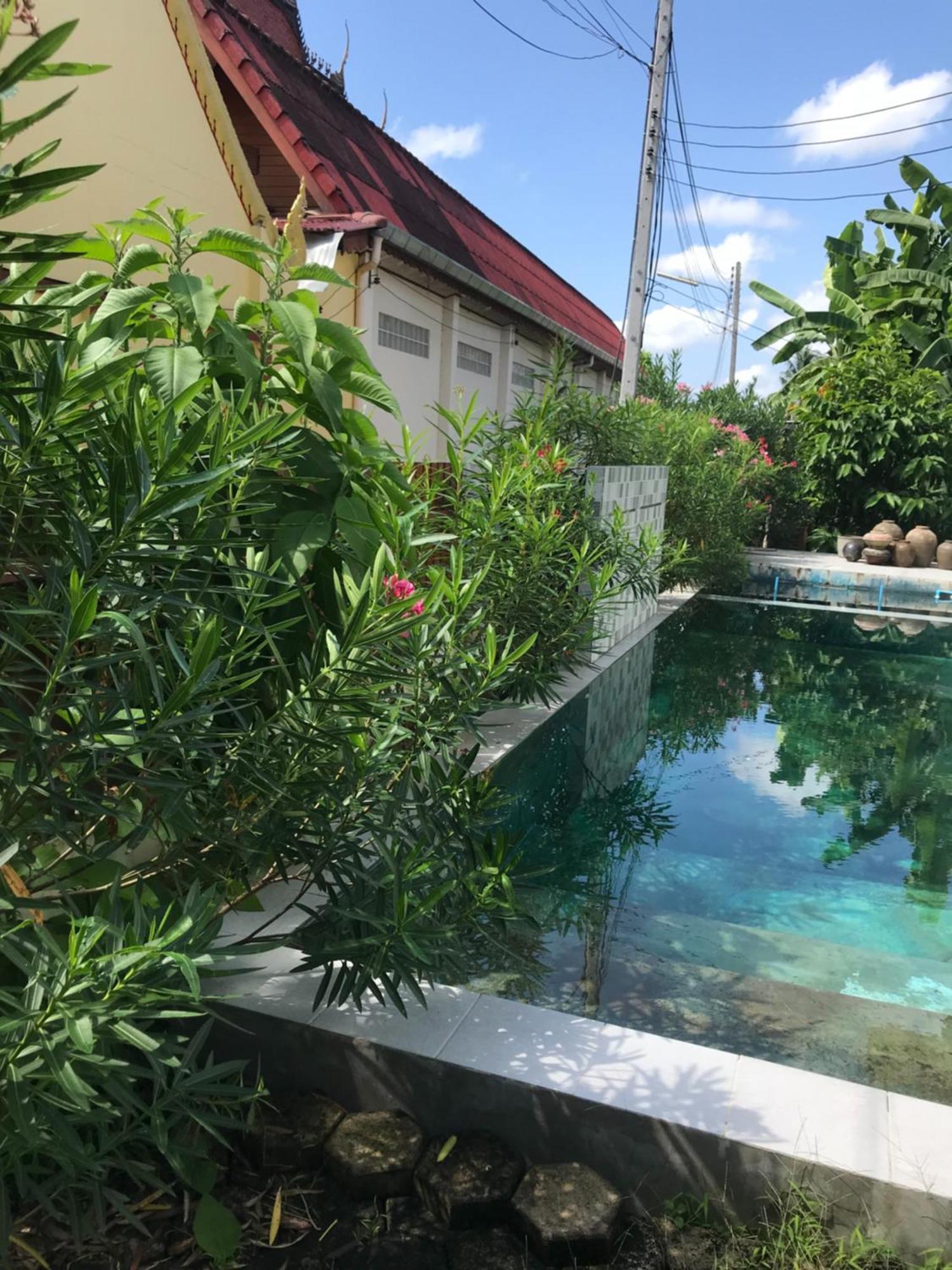 Thai- American With Swimming Pool