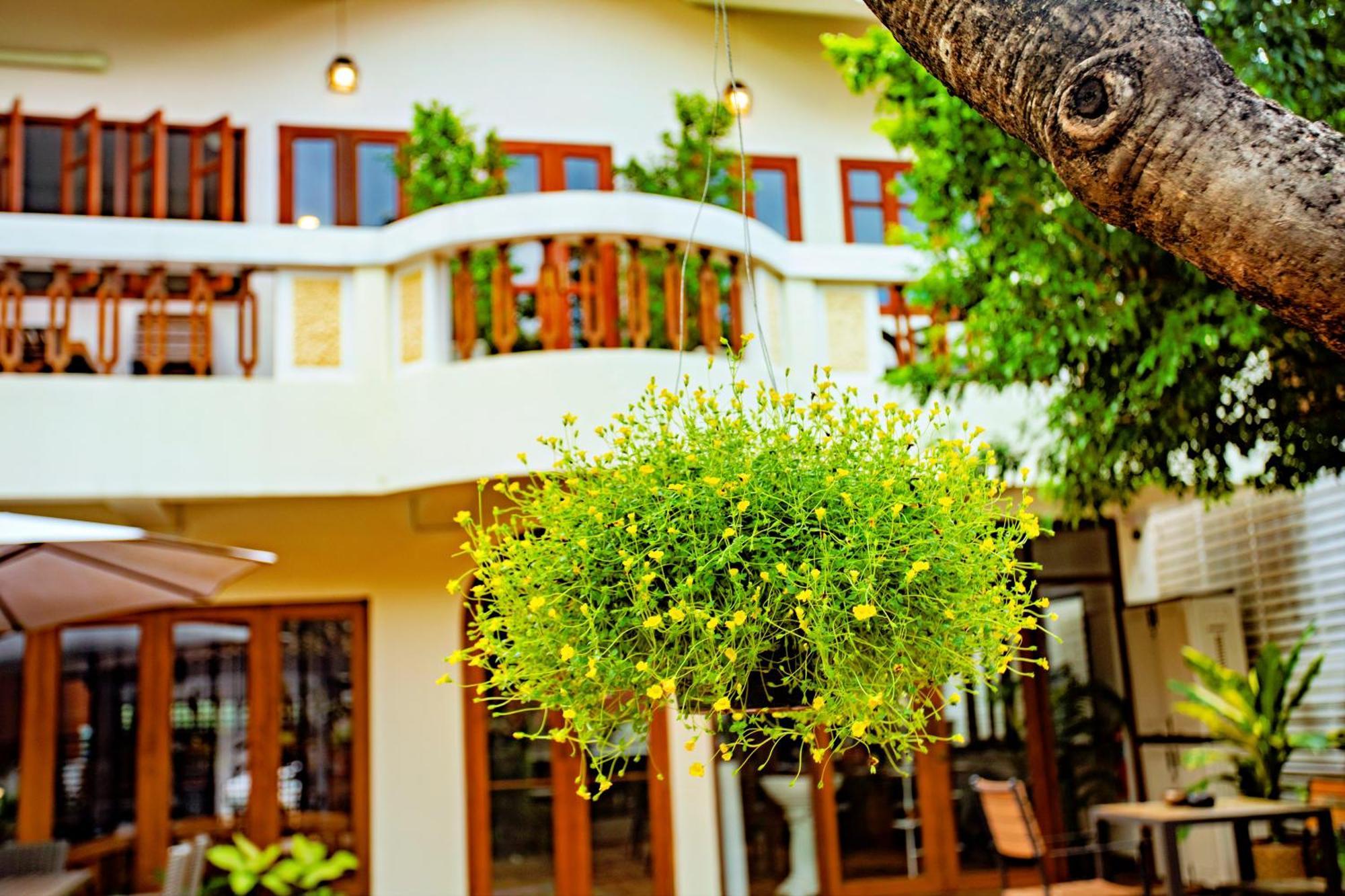 Art House Old Homestay Chiang Mai