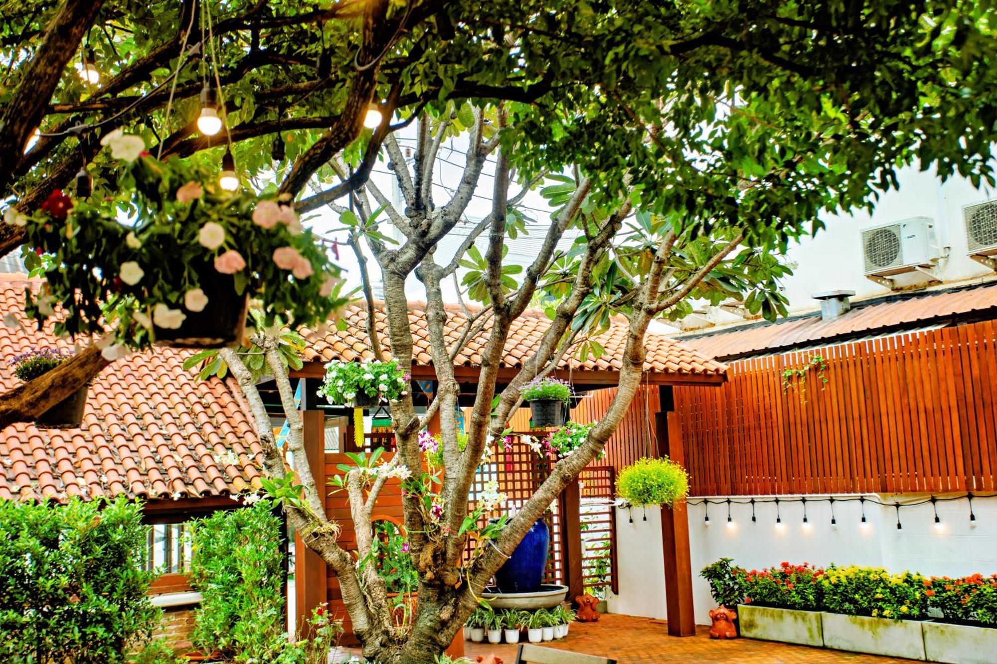 Homestay Art House Old