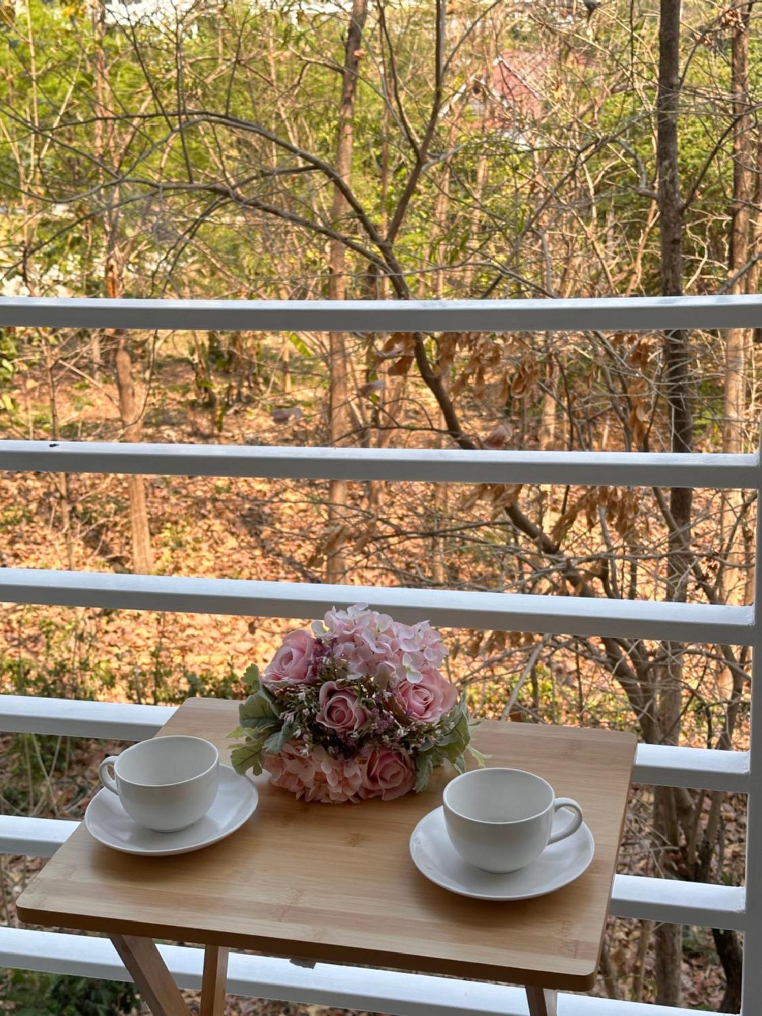 Apartment Cozy Urban Oasis *