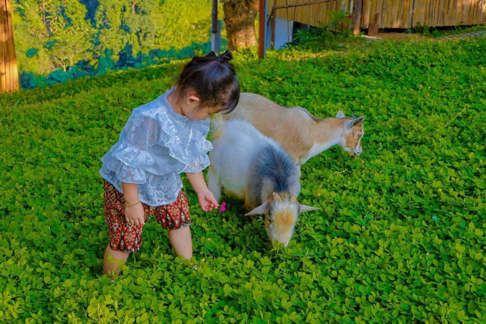 Kirin Farm Lodge *