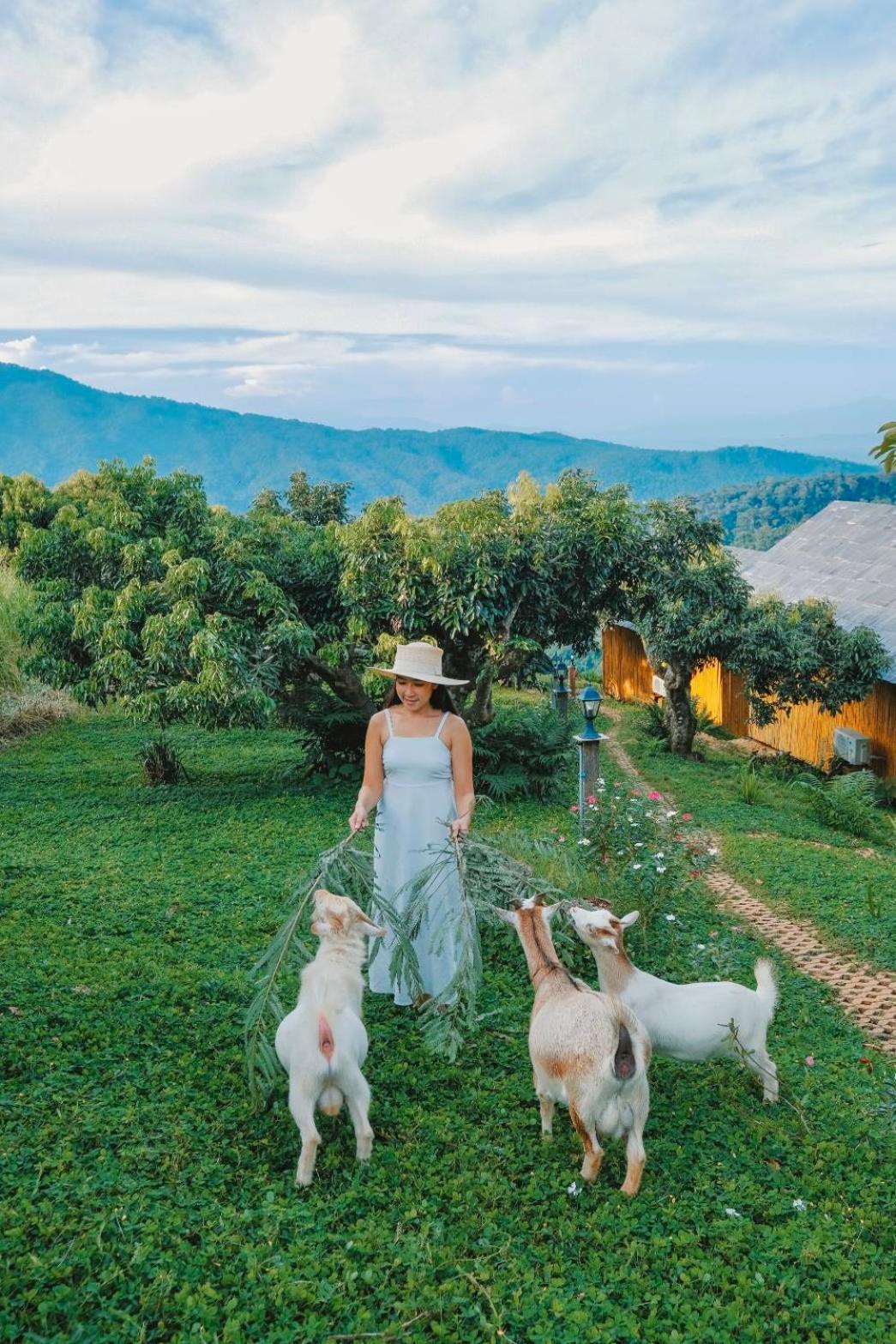 Kirin Farm Lodge Chiang Mai