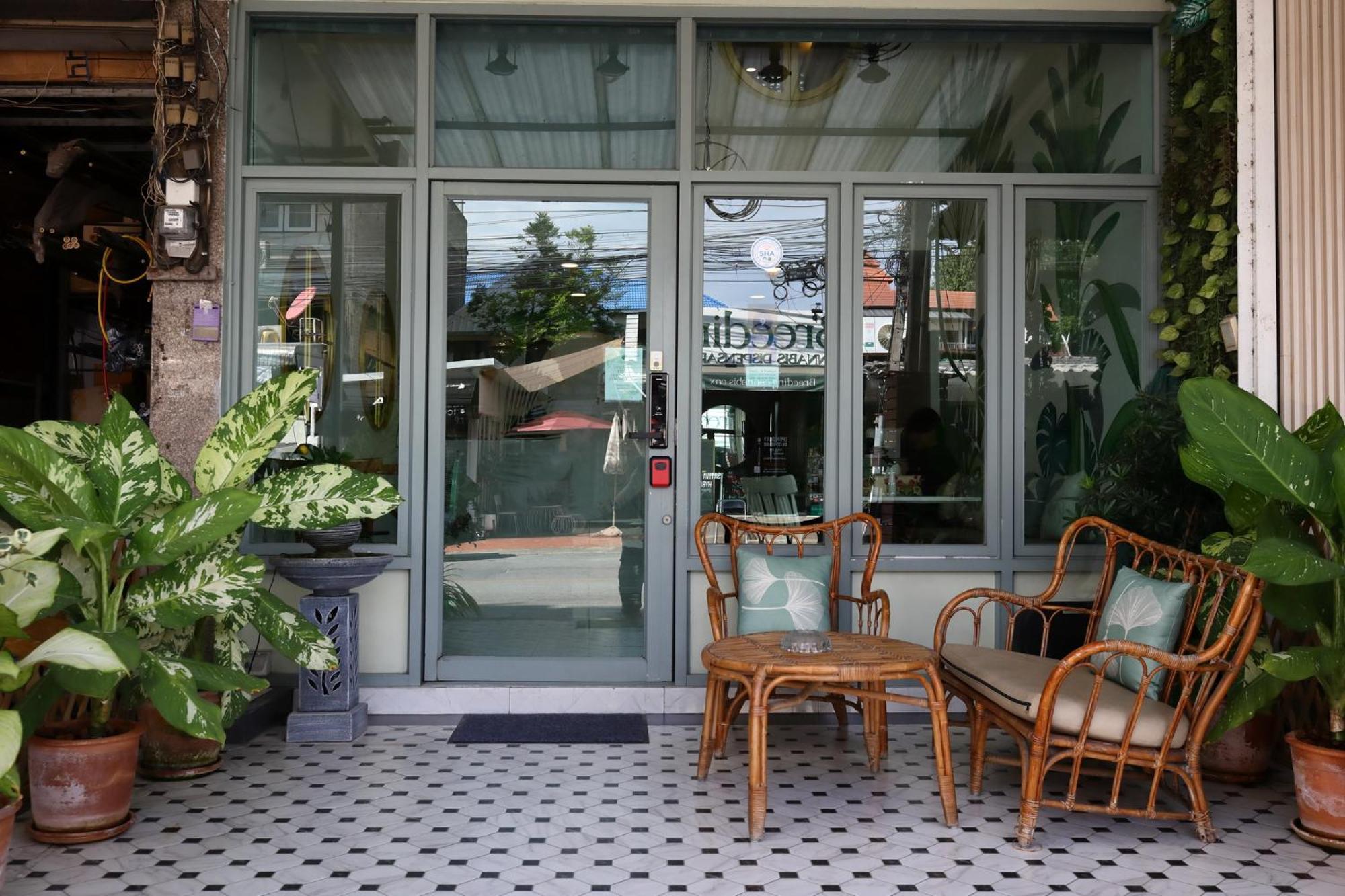 Acomodação com café da manhã  Poshtel Haven 3*