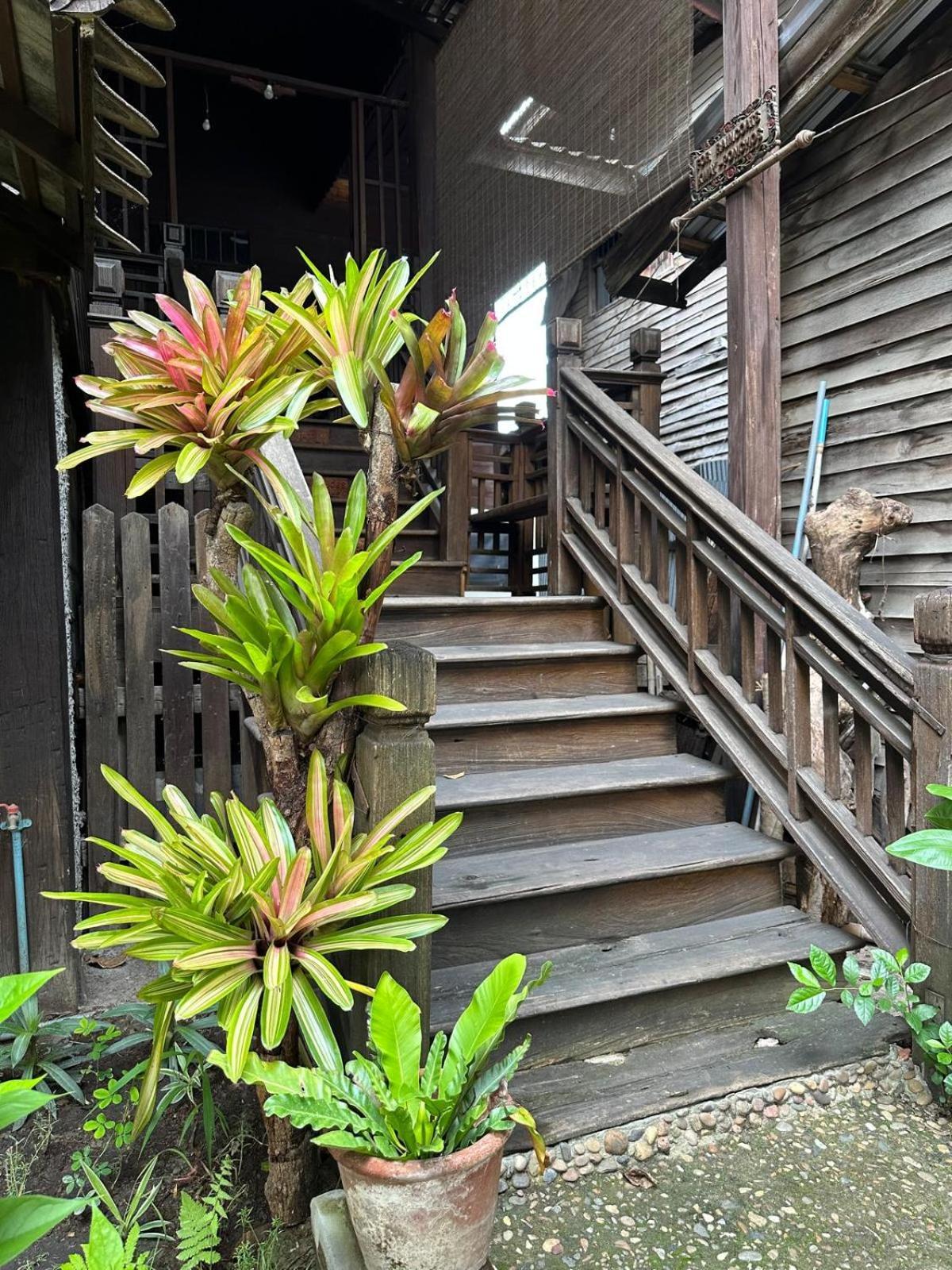 Hostel Cozy Nest Cnx *