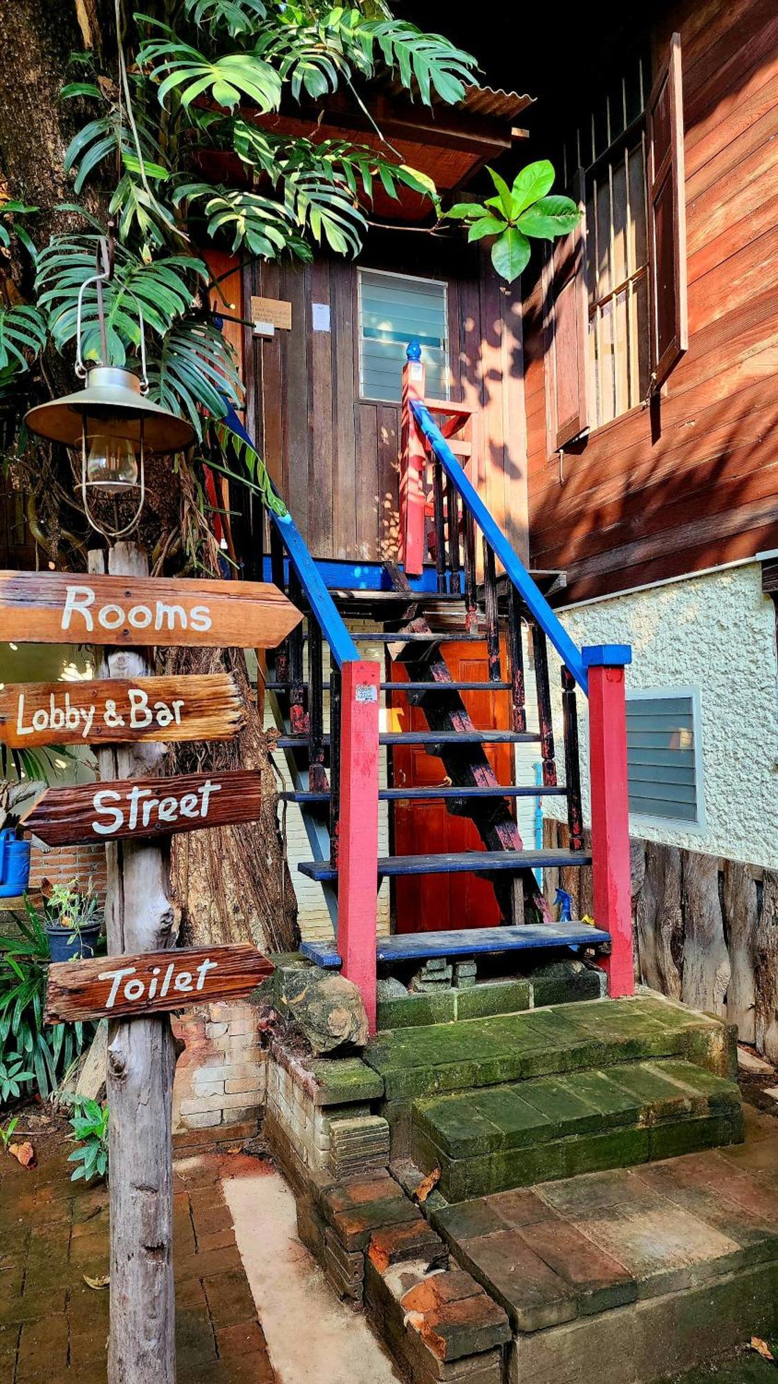 Cozy Nest Cnx