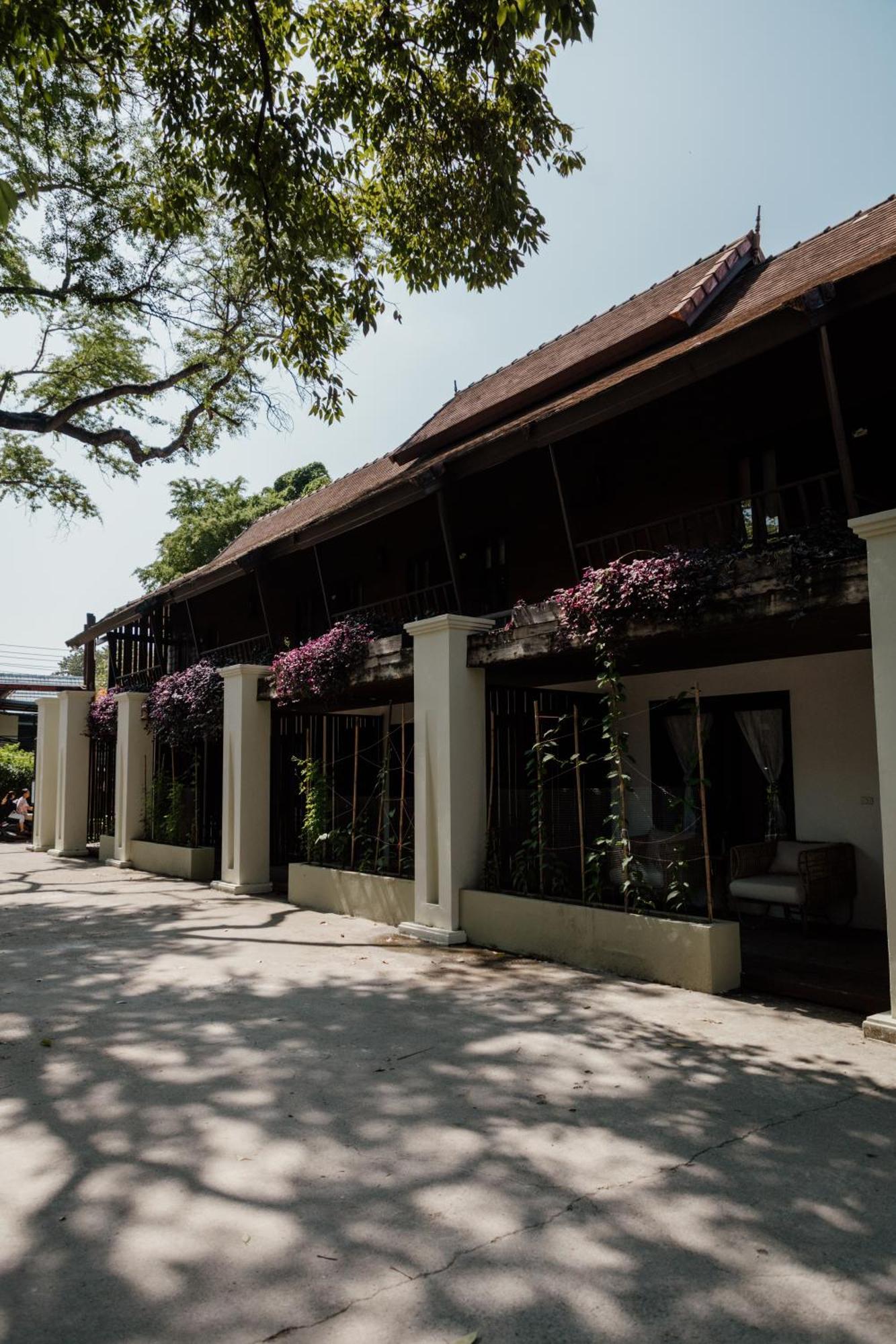 Hostel The Yard *