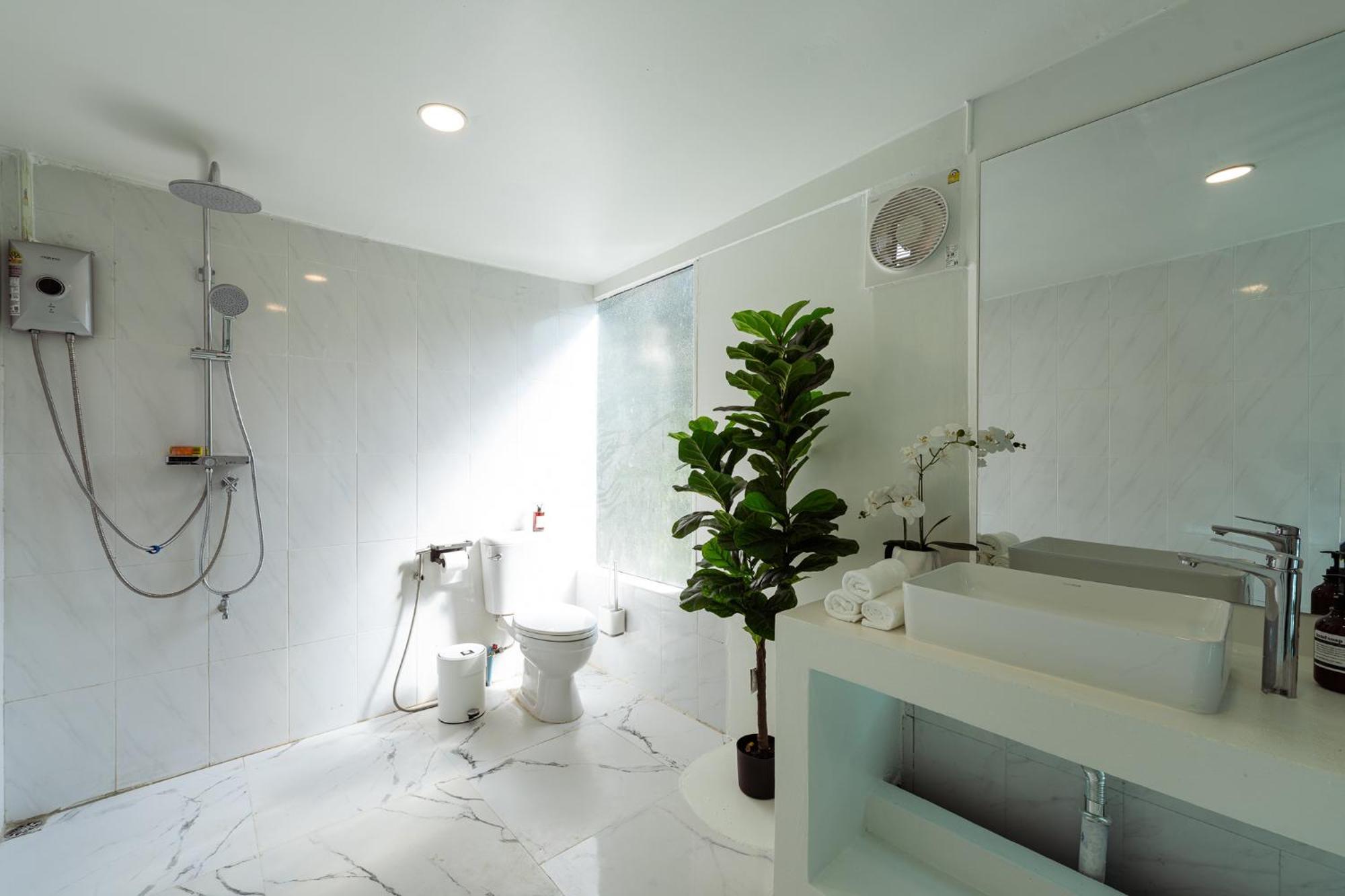 Cleopatra Pool Prime Location Vila