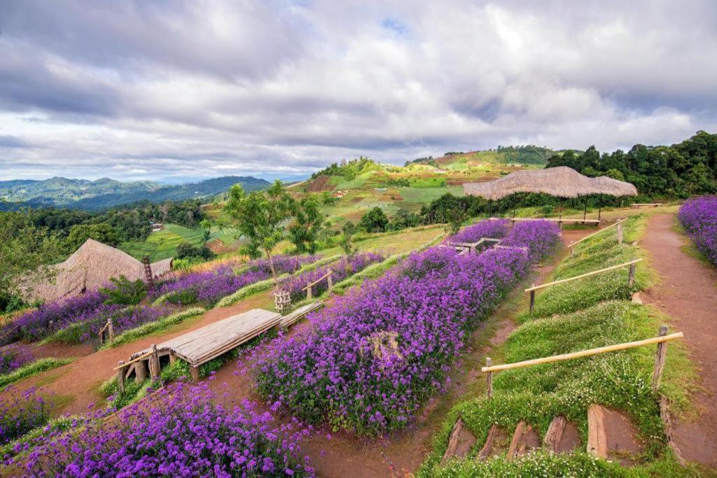 The Doi Moncham Chiang Mai