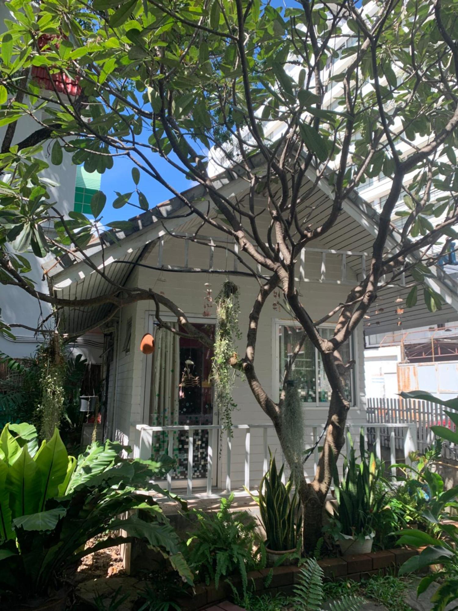 Dream Garden Night Bazaar Chiangmai Homestay Chiang Mai