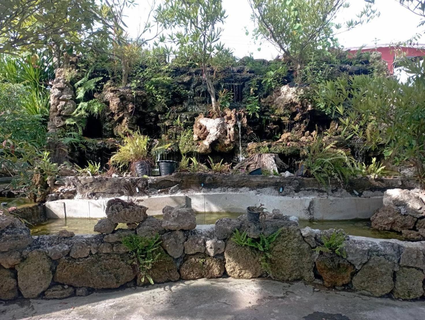 Homestay Tasana Garden Saraphi ทาซาน่าการ์เด้น สาขาสารภี