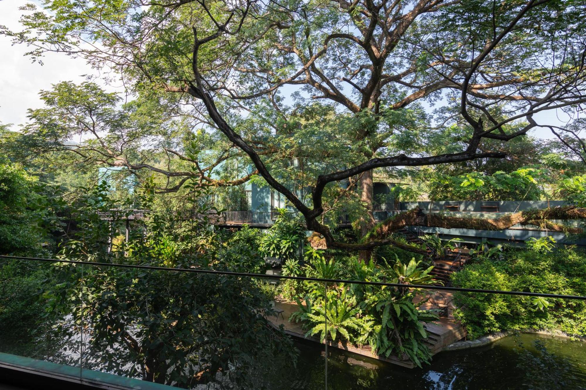 Apartment Cayla Private Chiang Mai